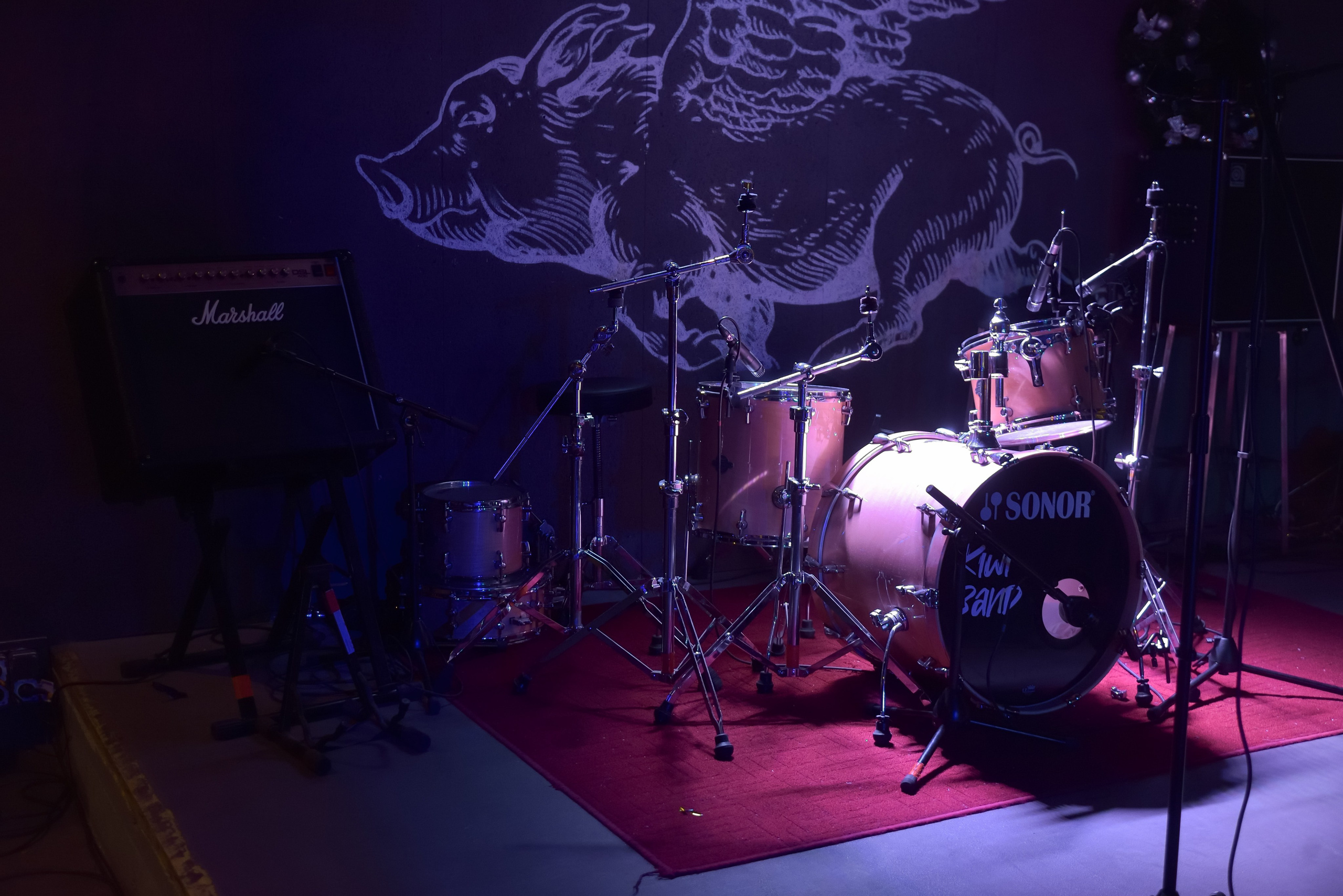 НГ корпоративы. Фотограф Олег Юршевич Солигорск Минск