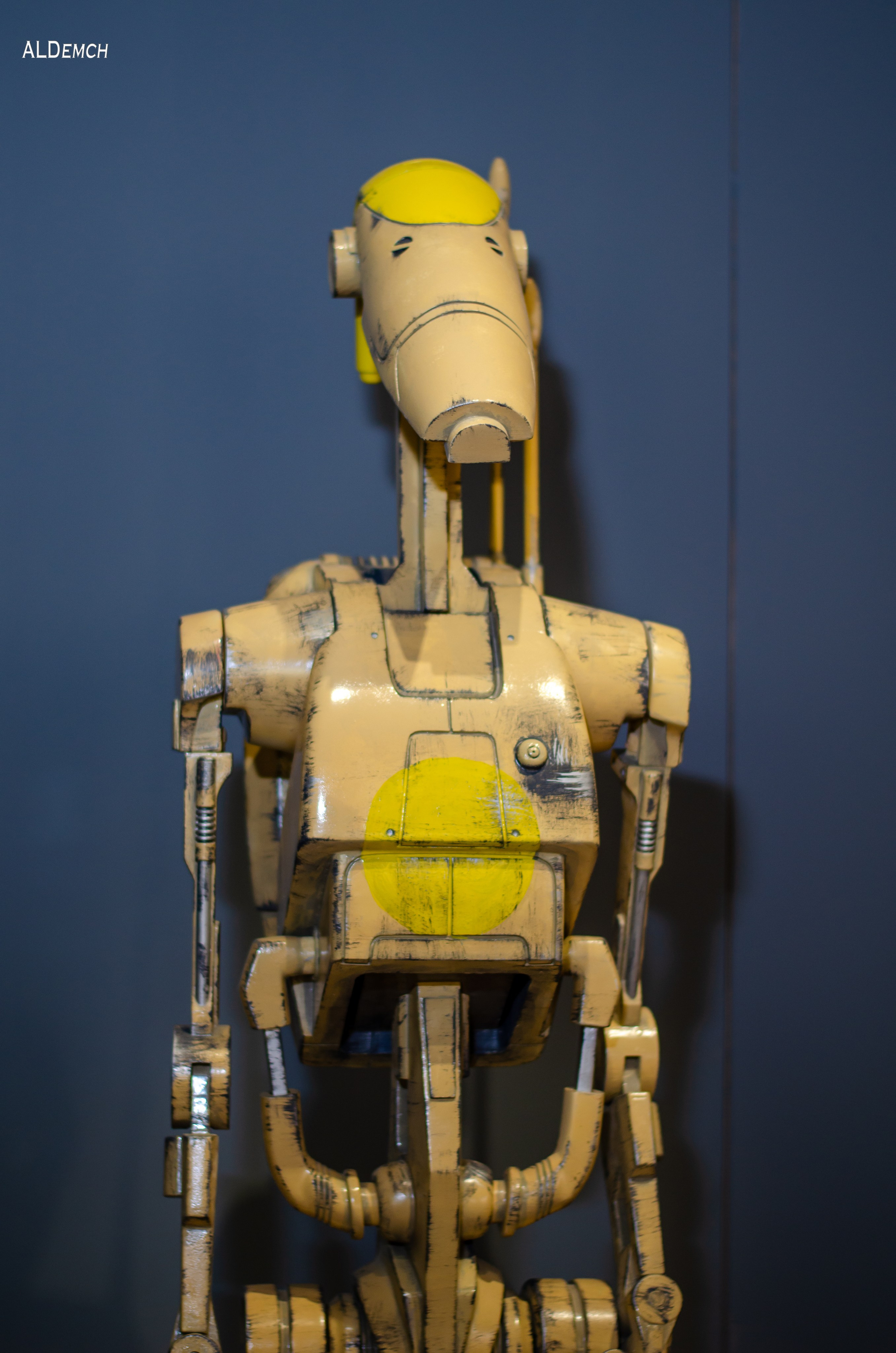 Фотосессия на ВДНХ косплей выставки по звёздным войнам