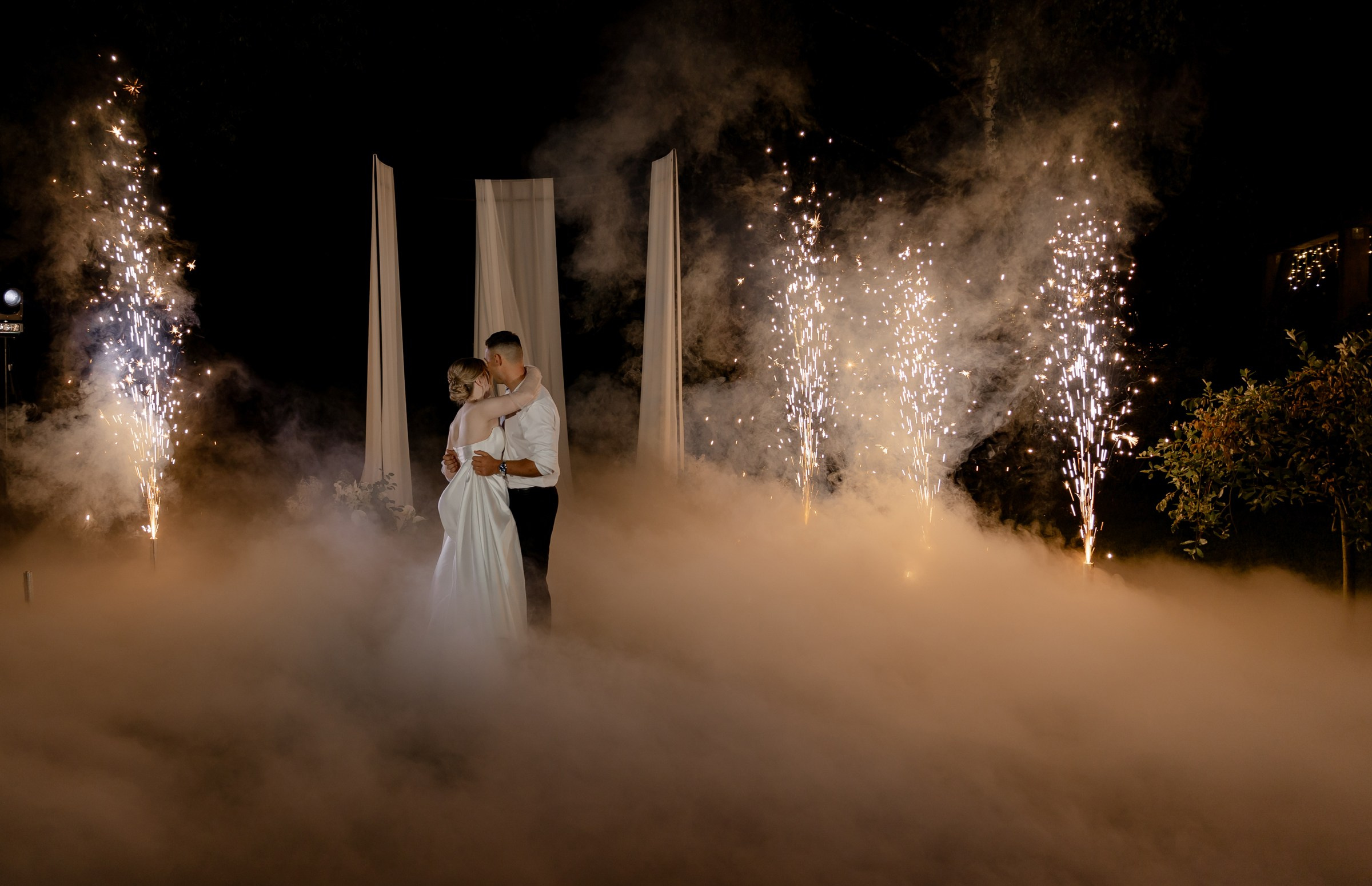 Свадьба пес и котики. Dima Lemeshevsky