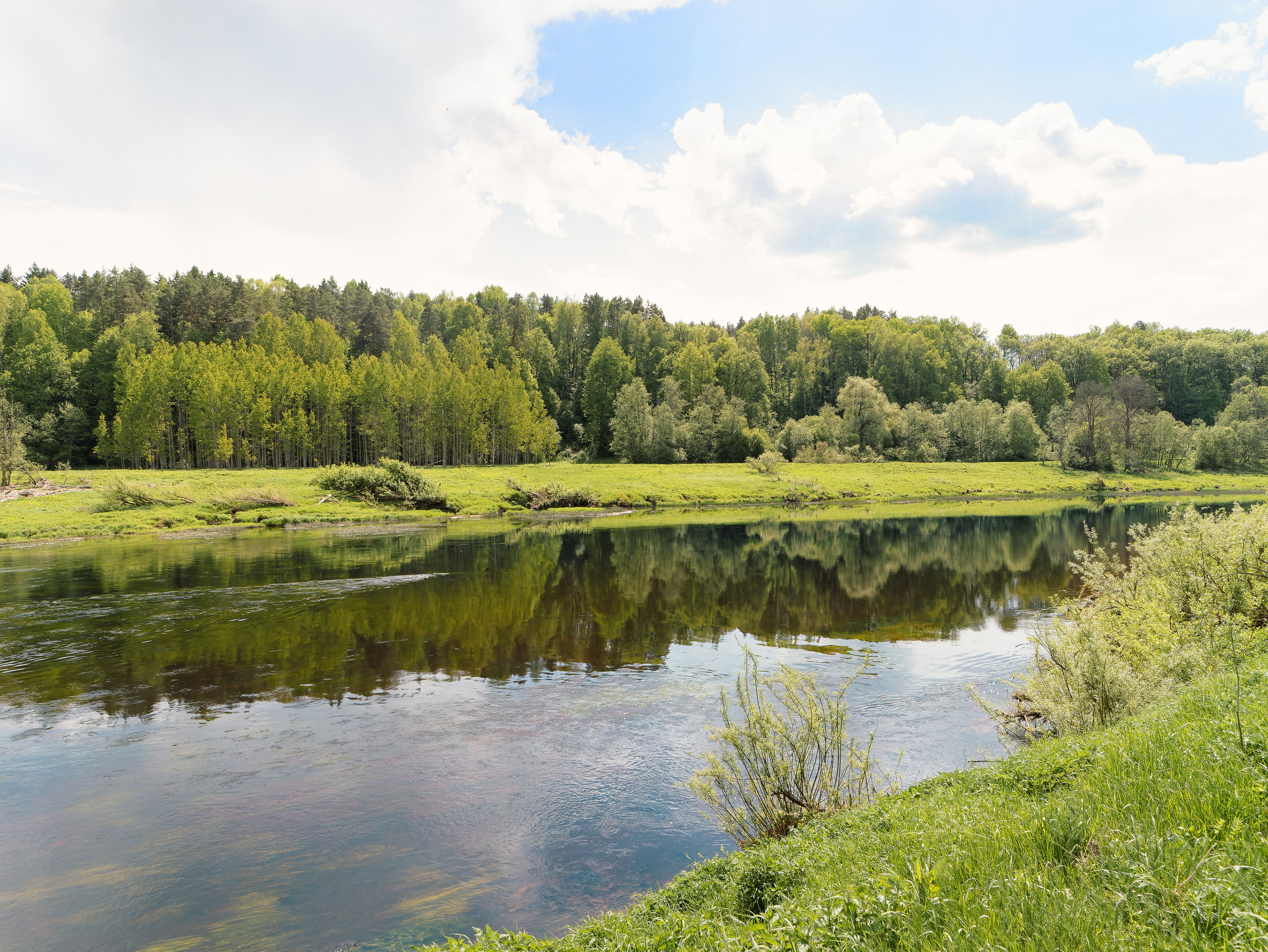 На берегу Угры. Конец мая 2024 года. Фотограф Никифоров-Гордеев Сергей. Москва и МО