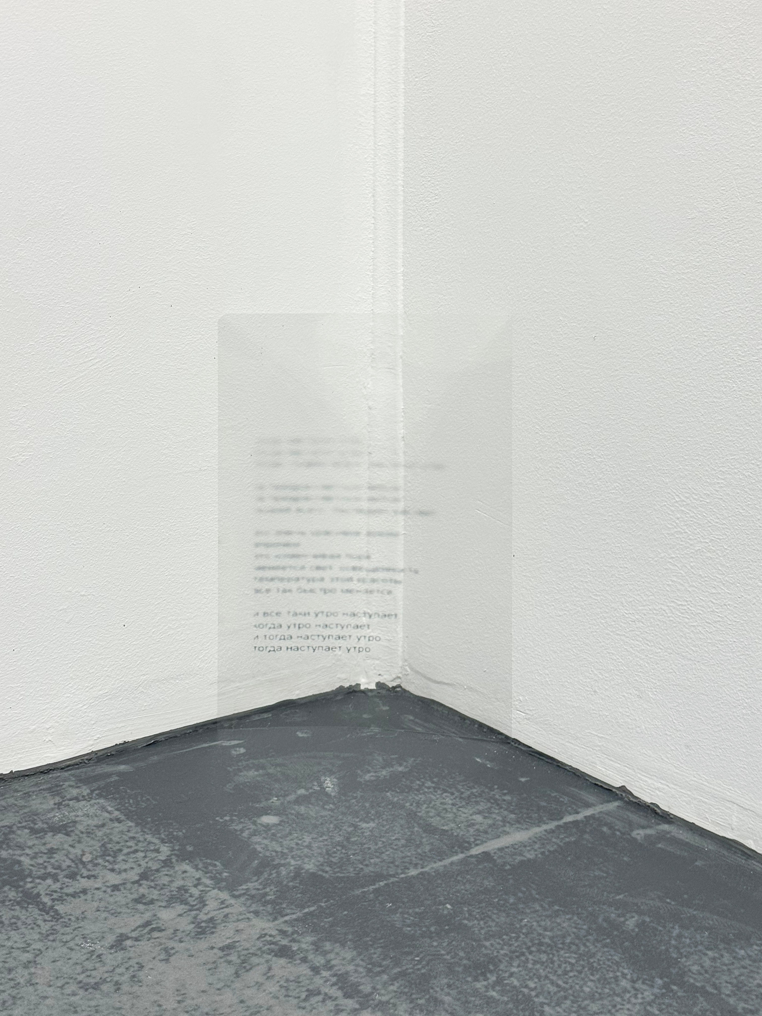 «застревание», выставка Ильи Михеева, 23.08-14.09, пространство пробел, Ростов-на-Дону. Лера Круглова