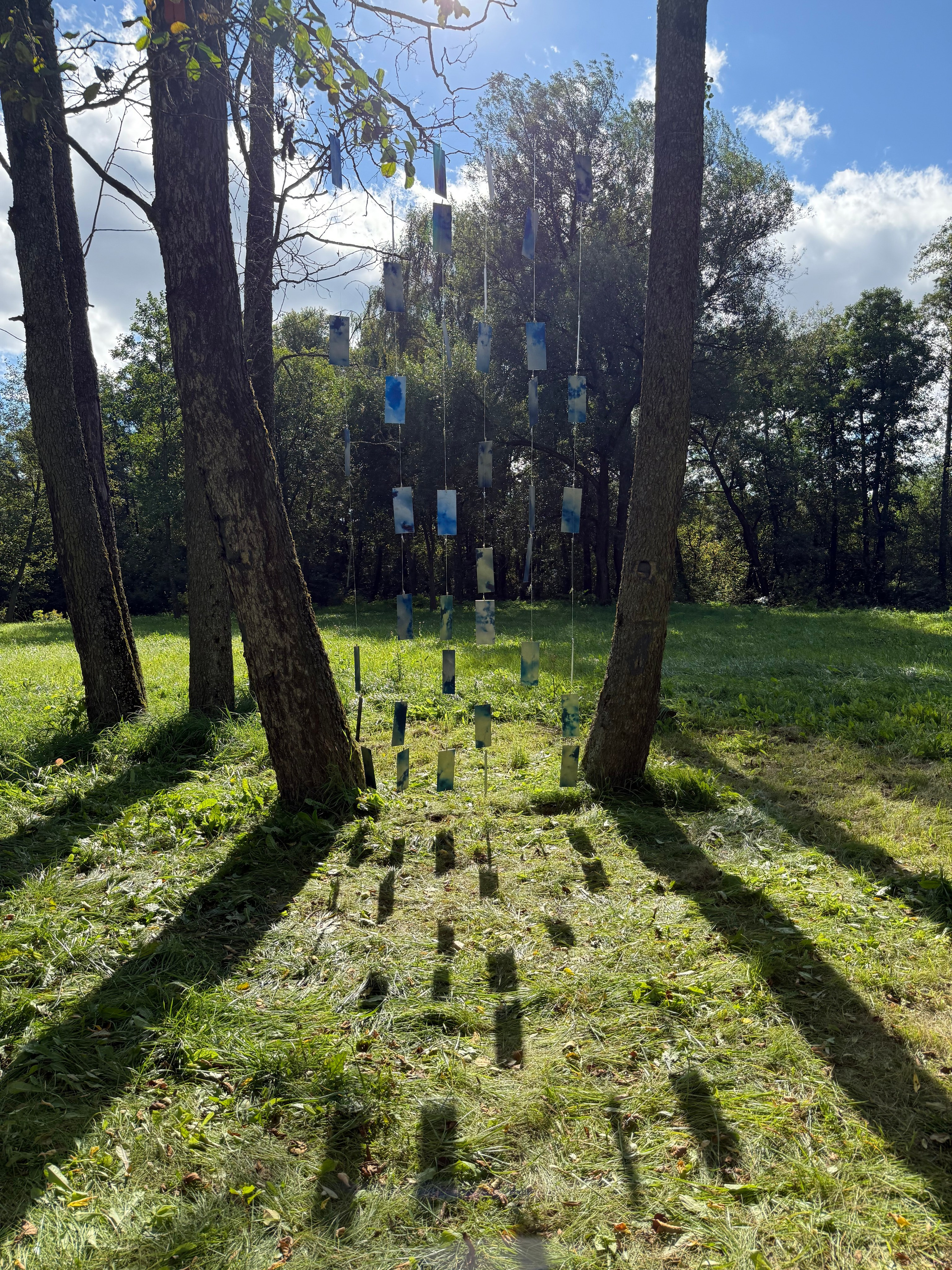 «Какой большой ветер», групповая выставка, 28.08-21.09.2025, парк-отель «Белые Аллеи». Лера Круглова