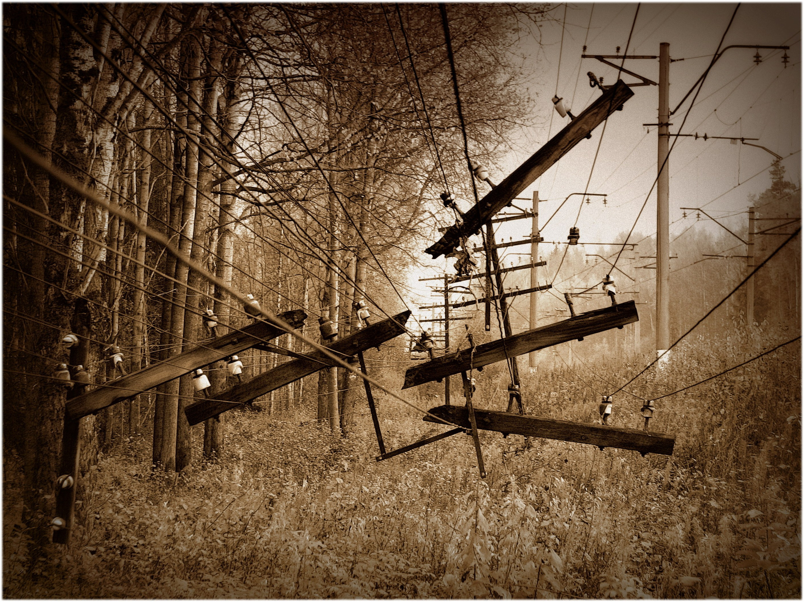 лес.столбы.провода.коричневое