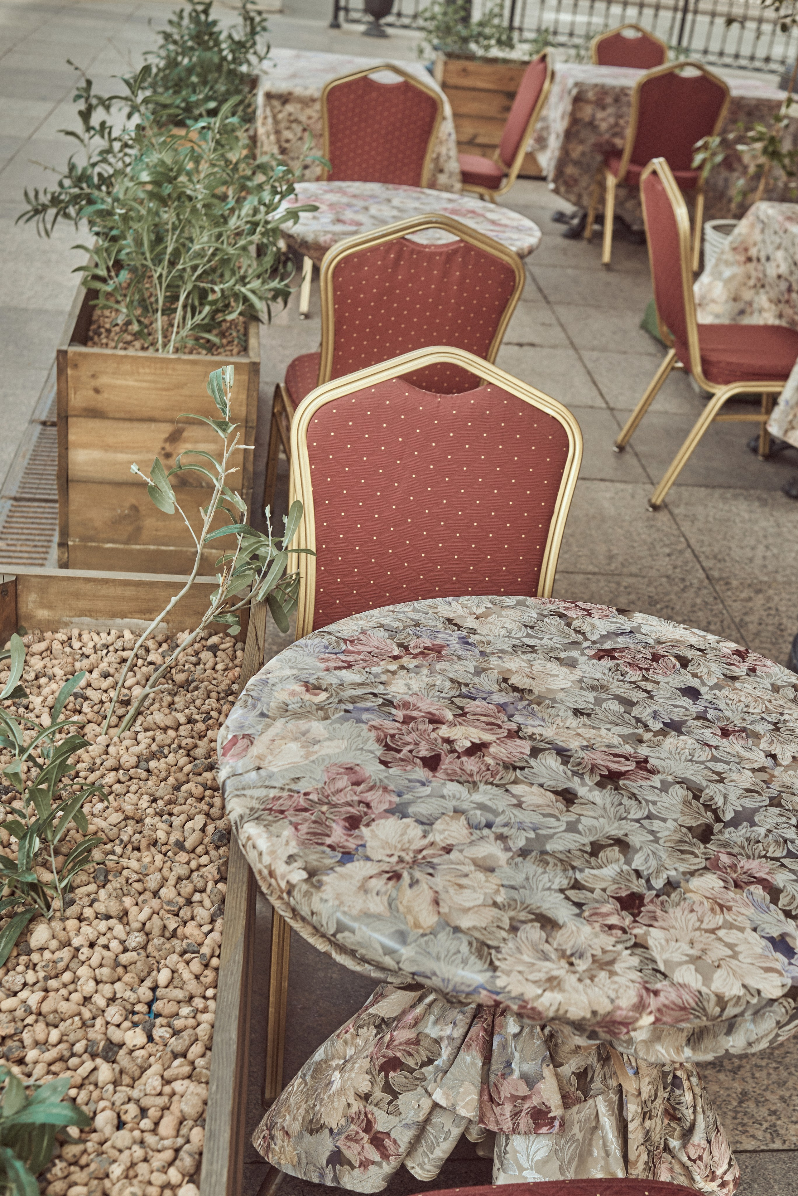 2024. Марфин. Фотограф