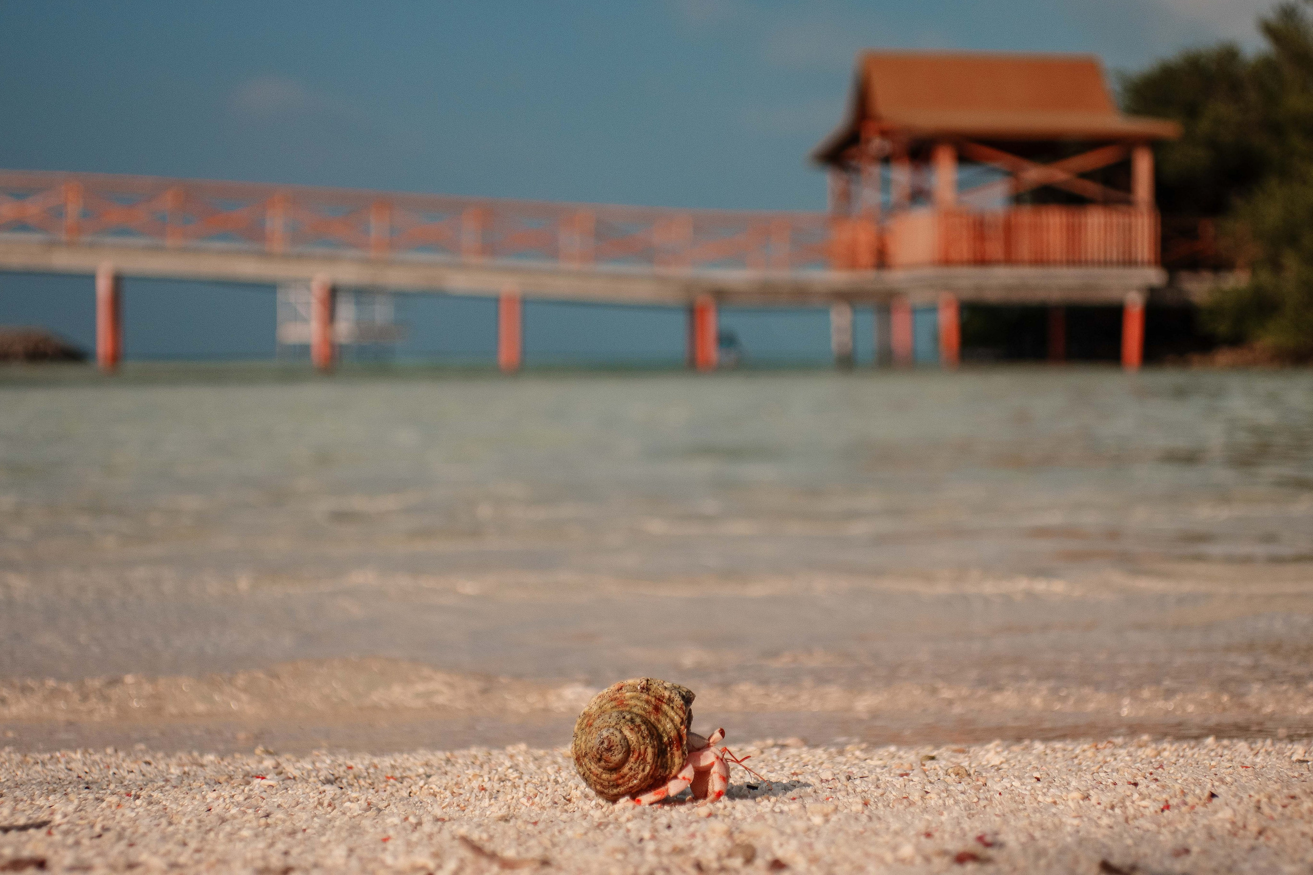 О.Тулусду. Мальдивы. Фотограф Светлана Голицына