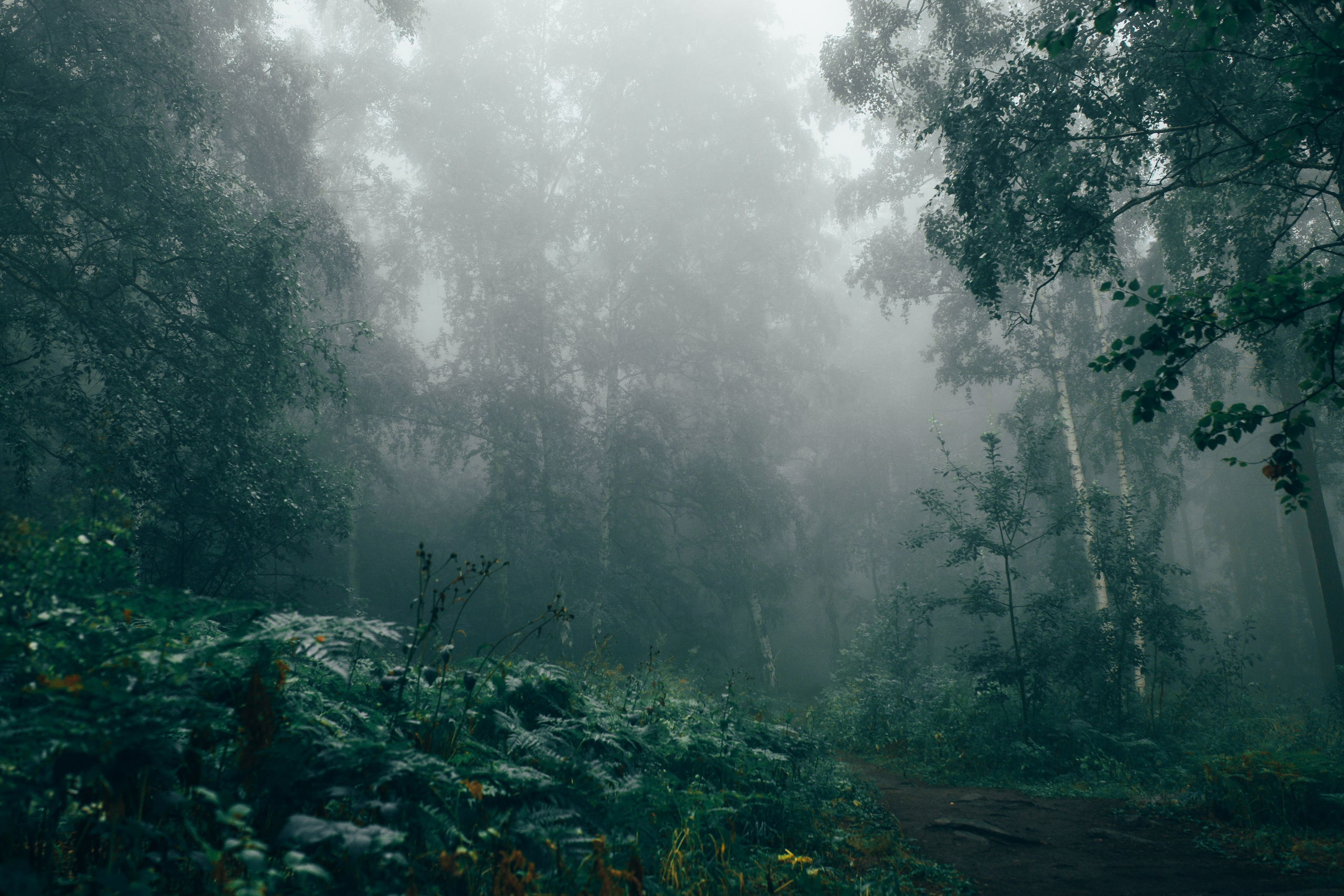 Travel. Фотограф в Челябинске — Дмитрий Носов