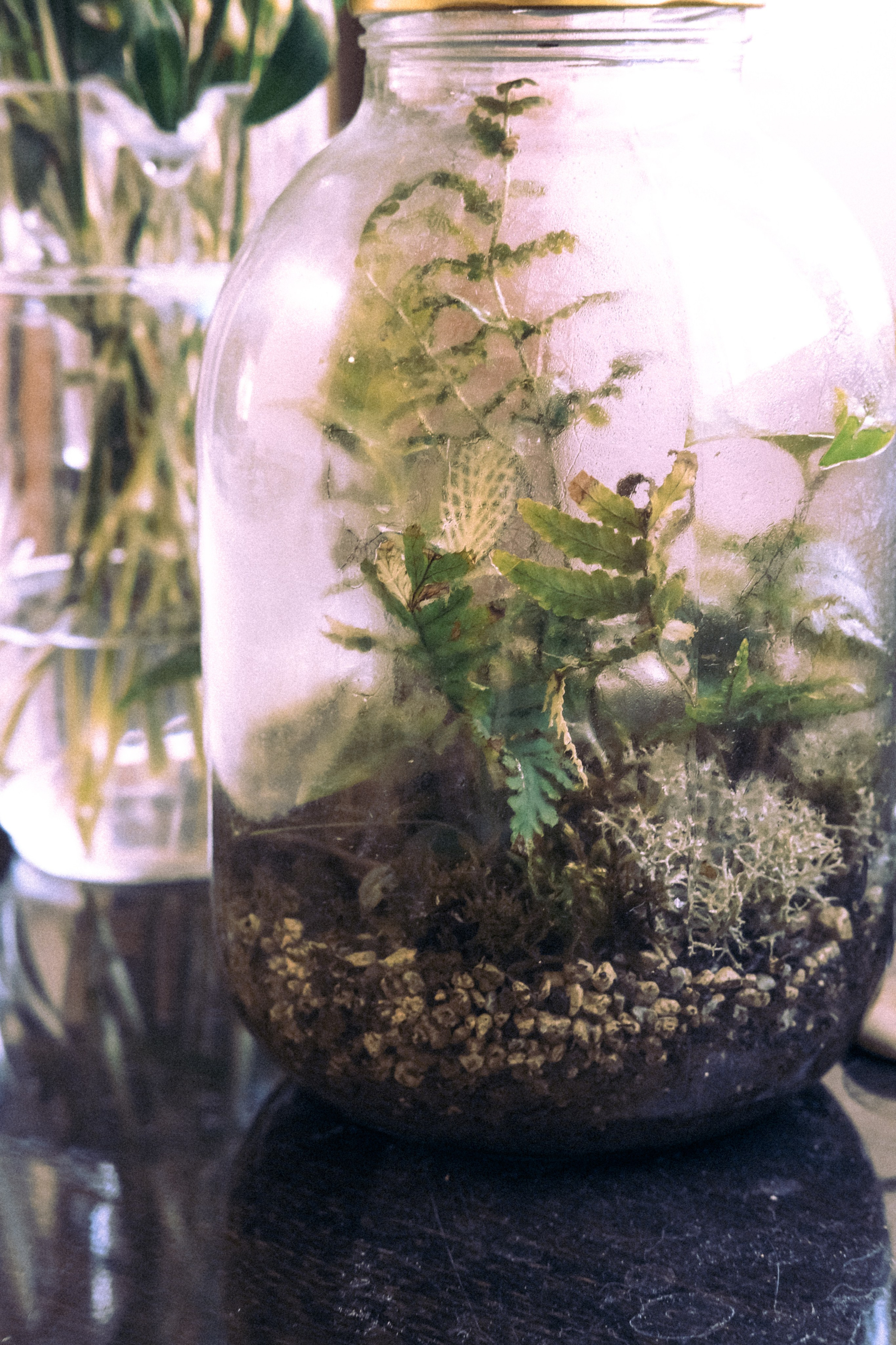 Городская и домашняя съемка в Тбилиси/ Алина и Гриша/ Или фотоблог из спального района. Photographer Tbilisi