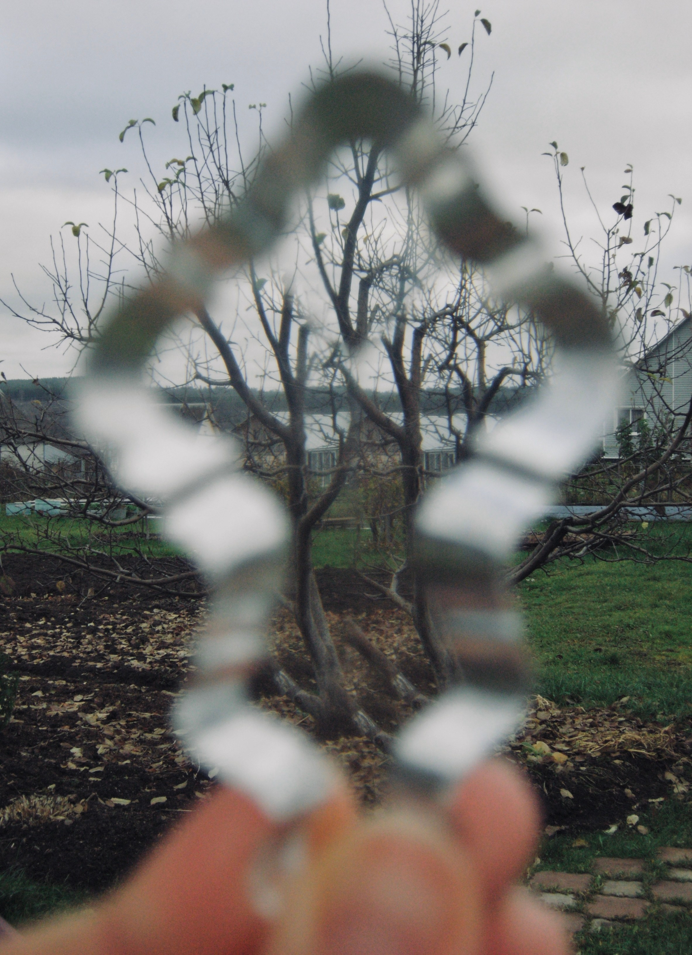 Пространство в цвете. Событийный фотограф в Москве Юлия Папиянц