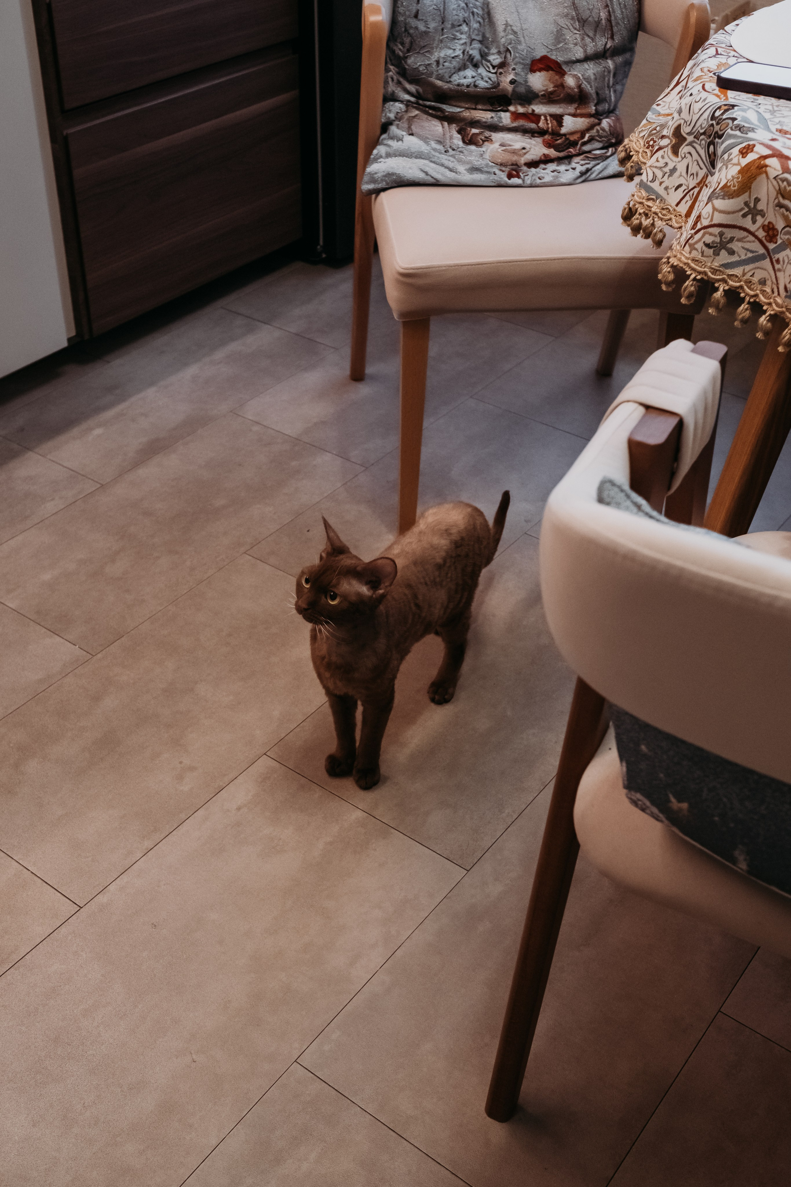 Семья Савельевых: newborn. Семейный и детский фотограф в Москве Светлана Потемкина