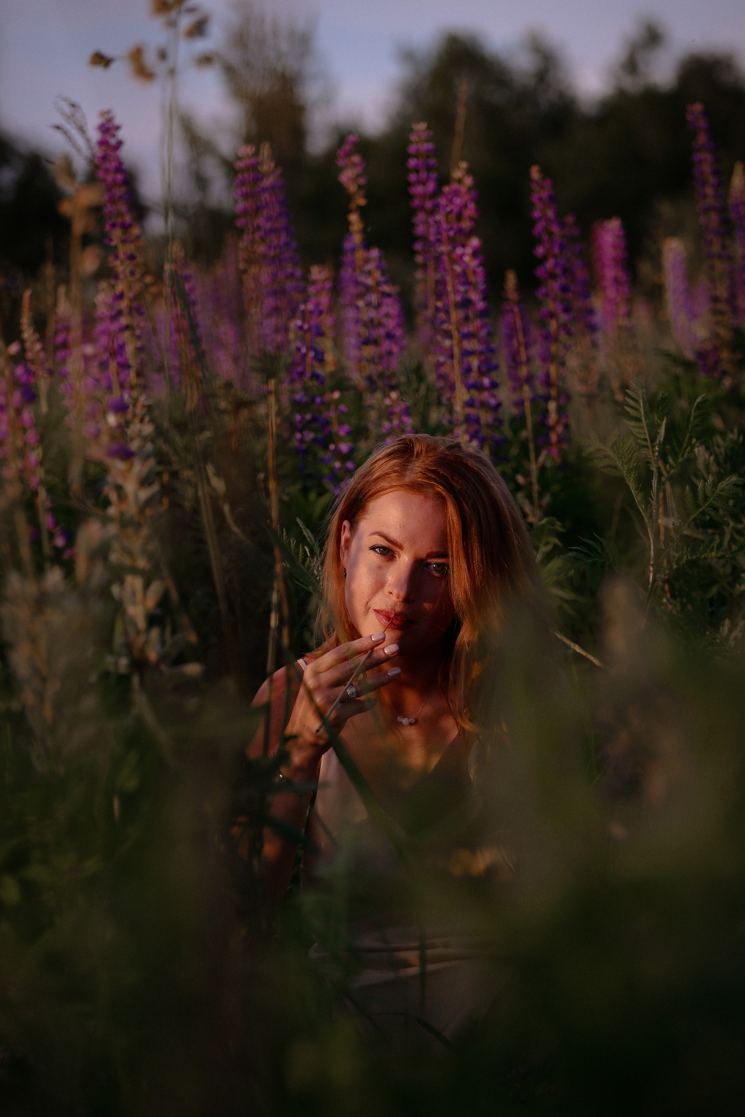 Среди люпинов. Efremovaphoto.ru