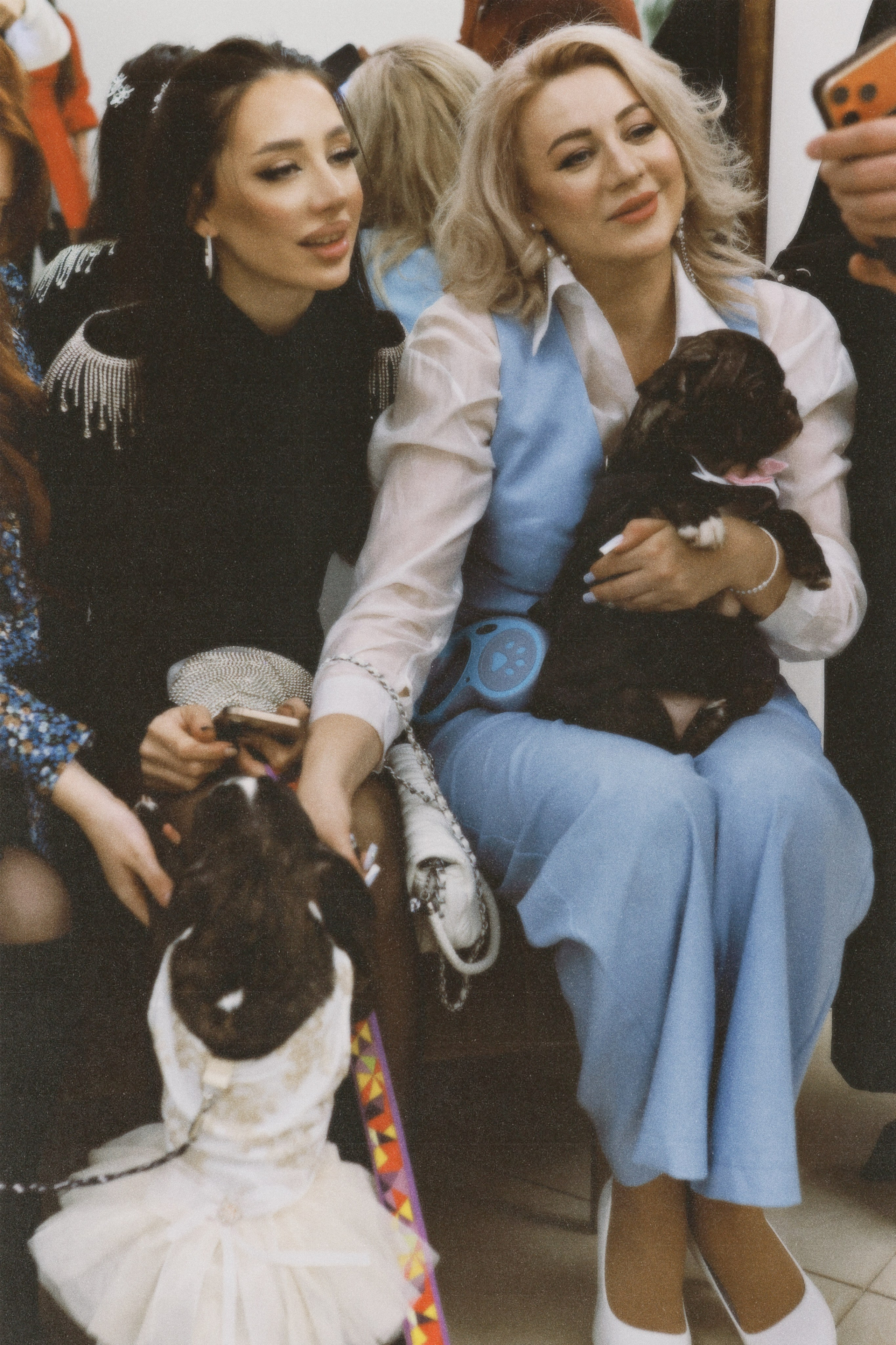 Богдан & Леся. Фотография — это жизнь, освещенная вспышкой