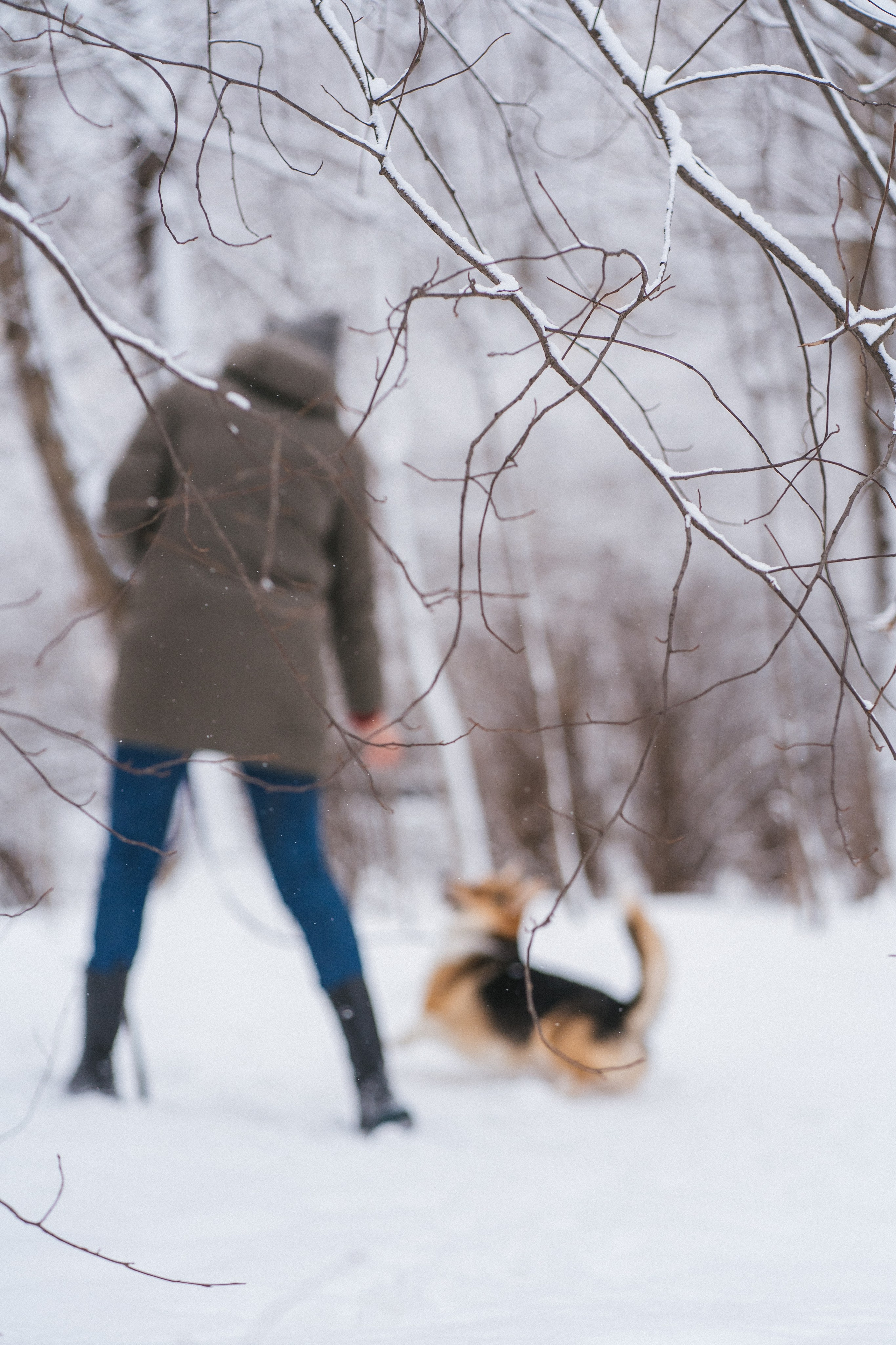 Каспер и Полина. Свадебный фотограф в Москве Анна Полушина