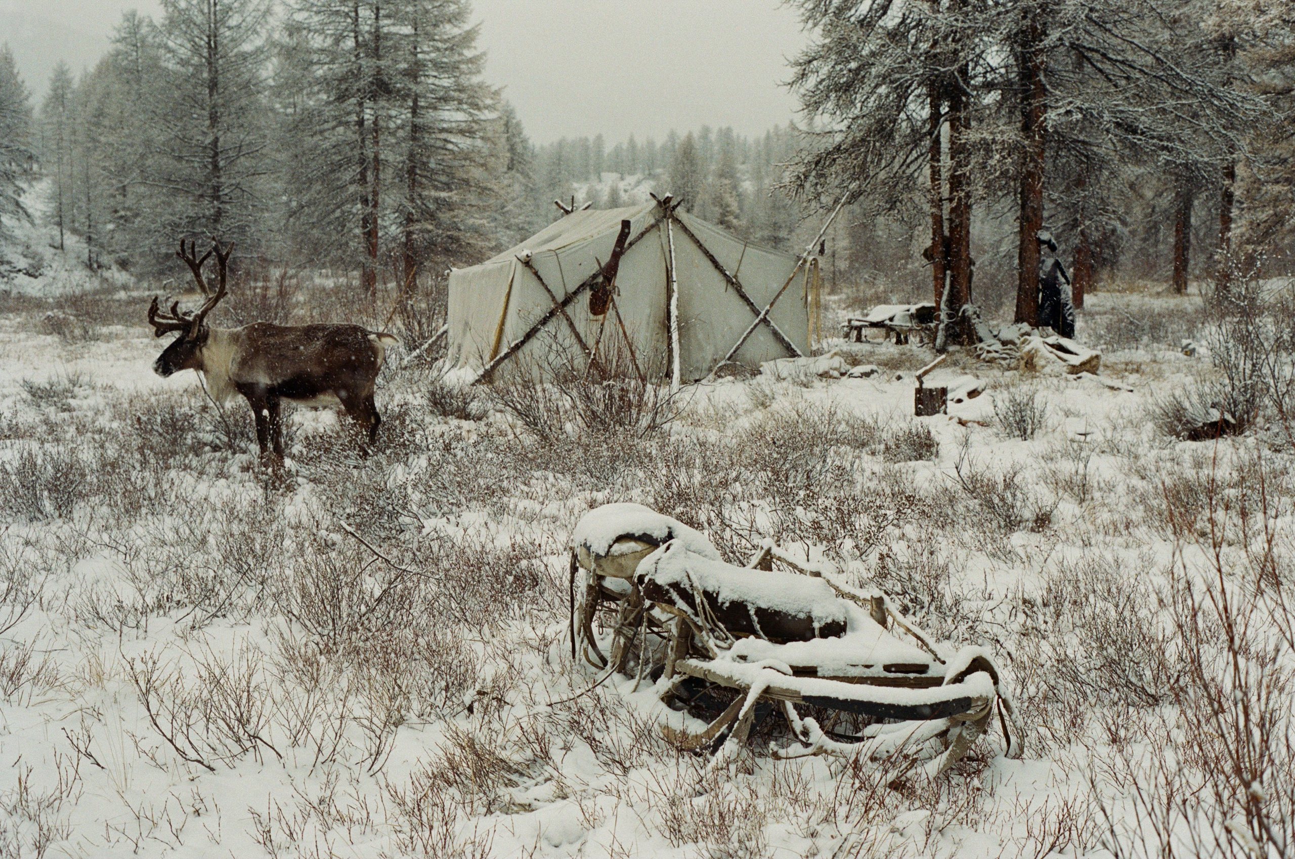 Не забудь накормить озеро. Natalya Madilyan