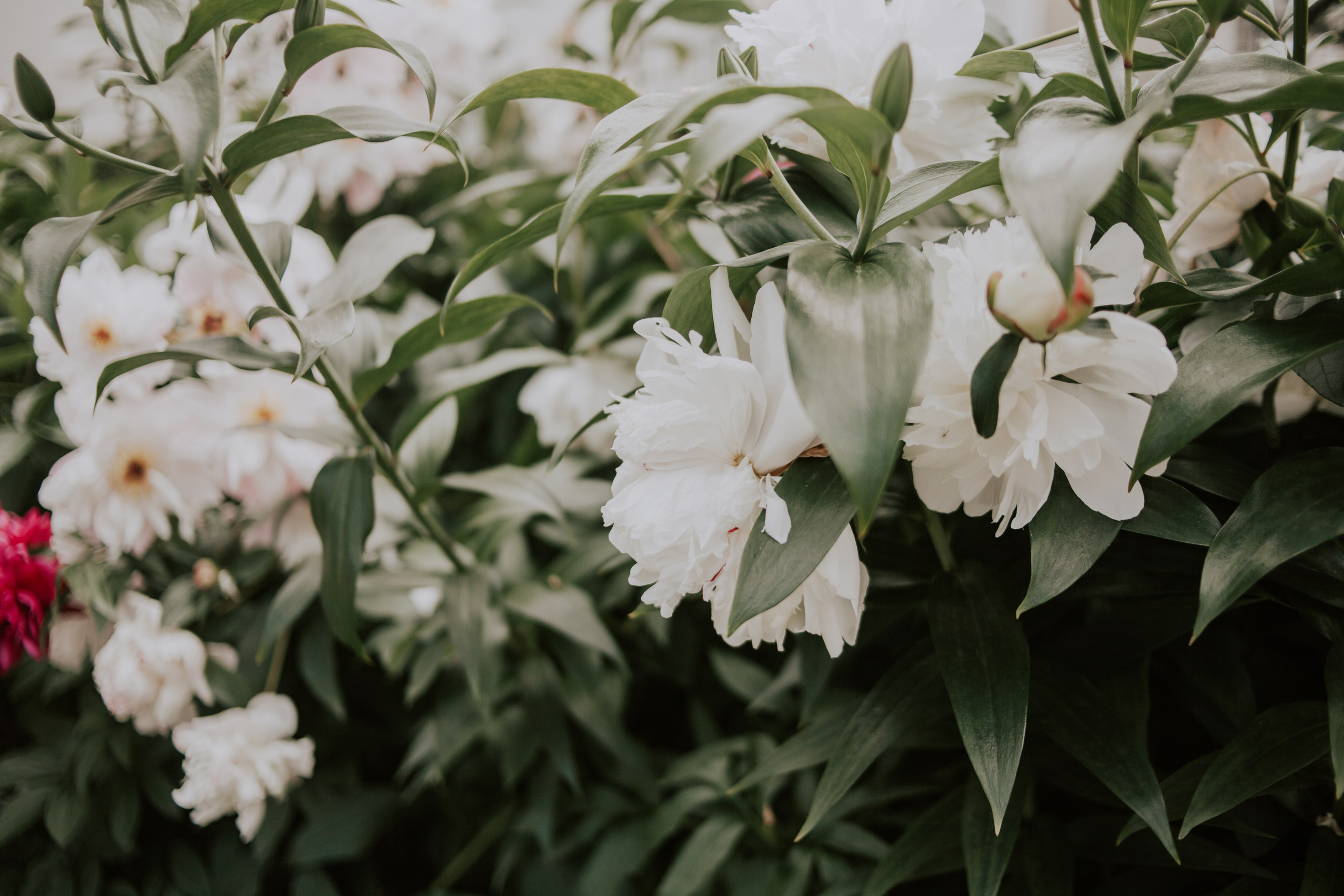 Марина и Милана, прогулка по Петербургу. Семейный фотограф во Всеволожске и Санкт-Петербурге Юлия Капустина