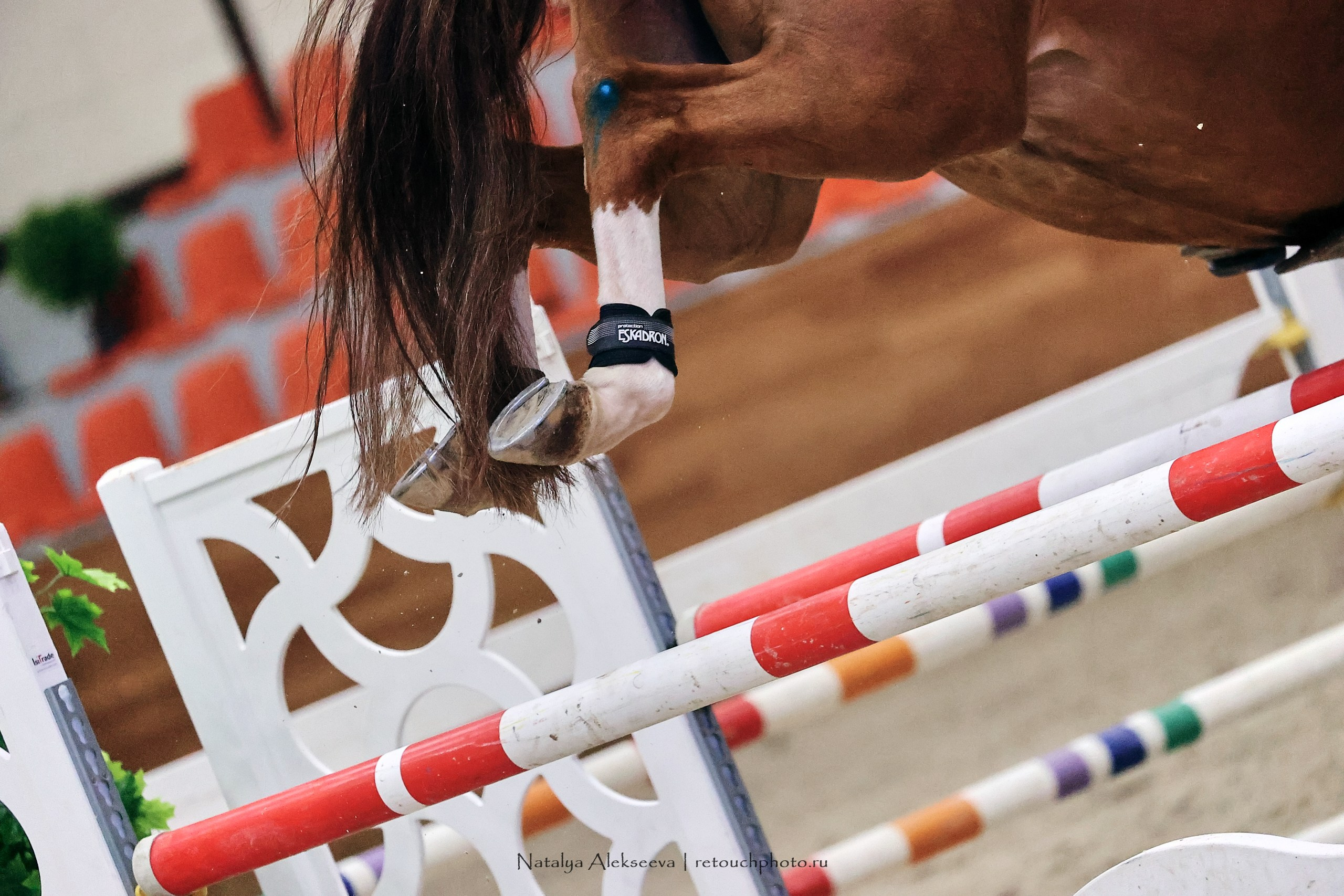 Финал Maxima Park по конкуру, Maxima Stables | 10'2023. Репортажный фотограф и ретушер в Москве Наталья Алексеева