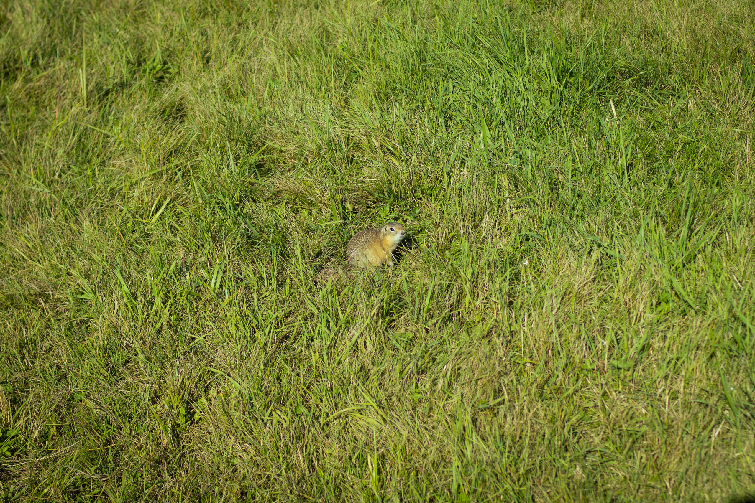 Красноярск (осень 2023). Фотограф Виноградов Константин