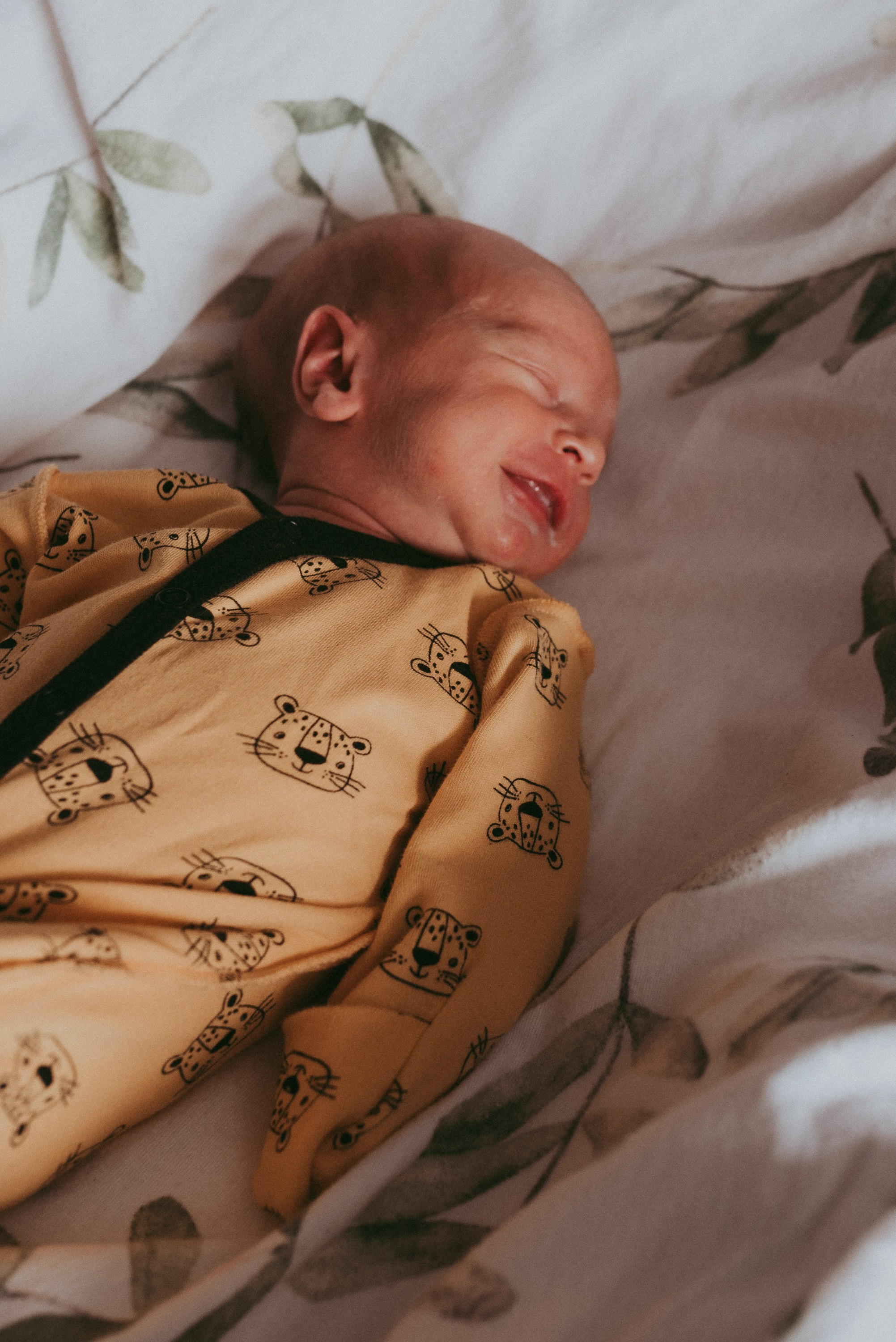 Маленький космос. Семейный и детский фотограф в Новосибирске и Краснообске — Анна Ким