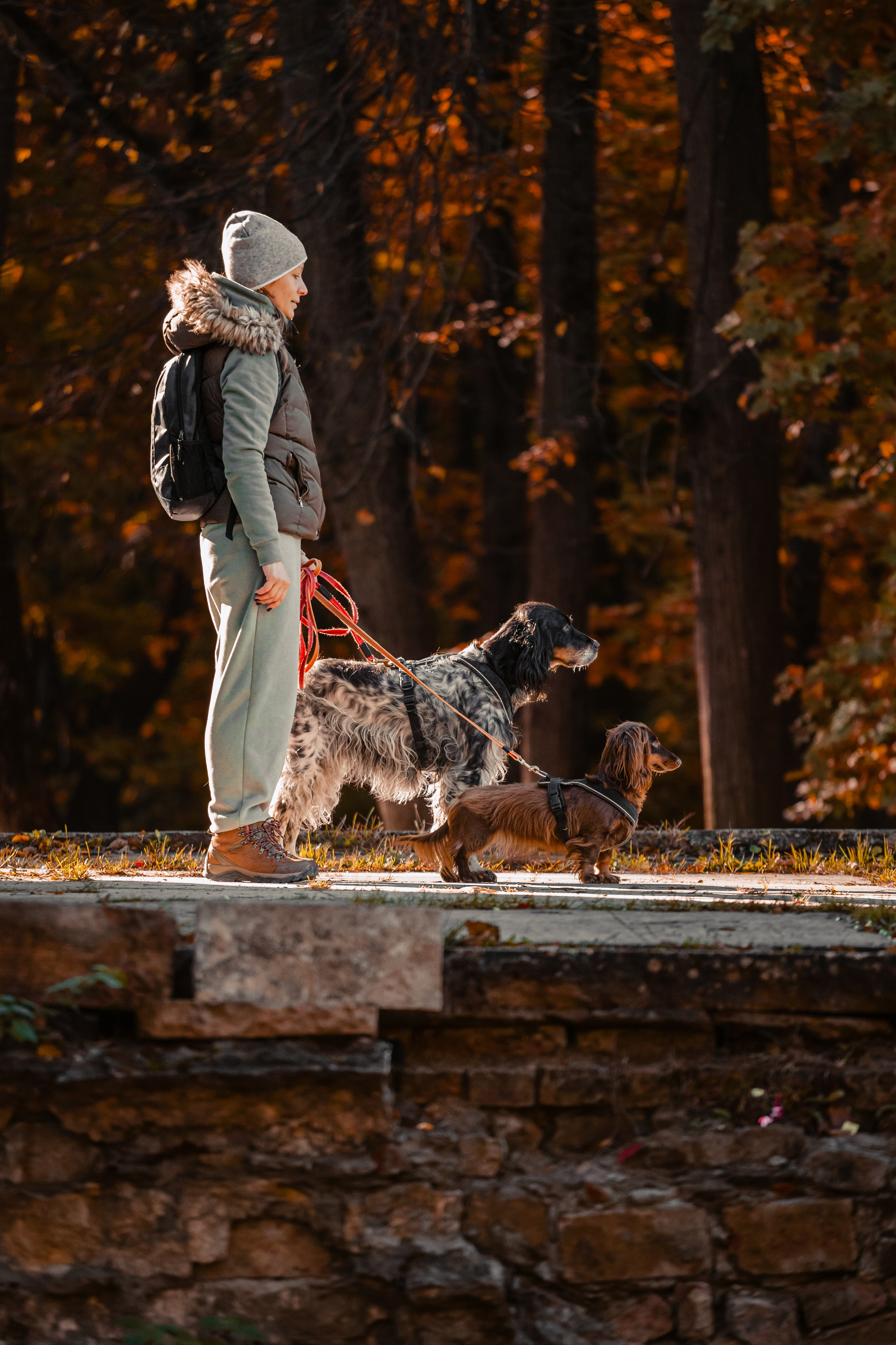 Света, Хайди, Богдана. Фотограф-анималист Татьяна Степанова