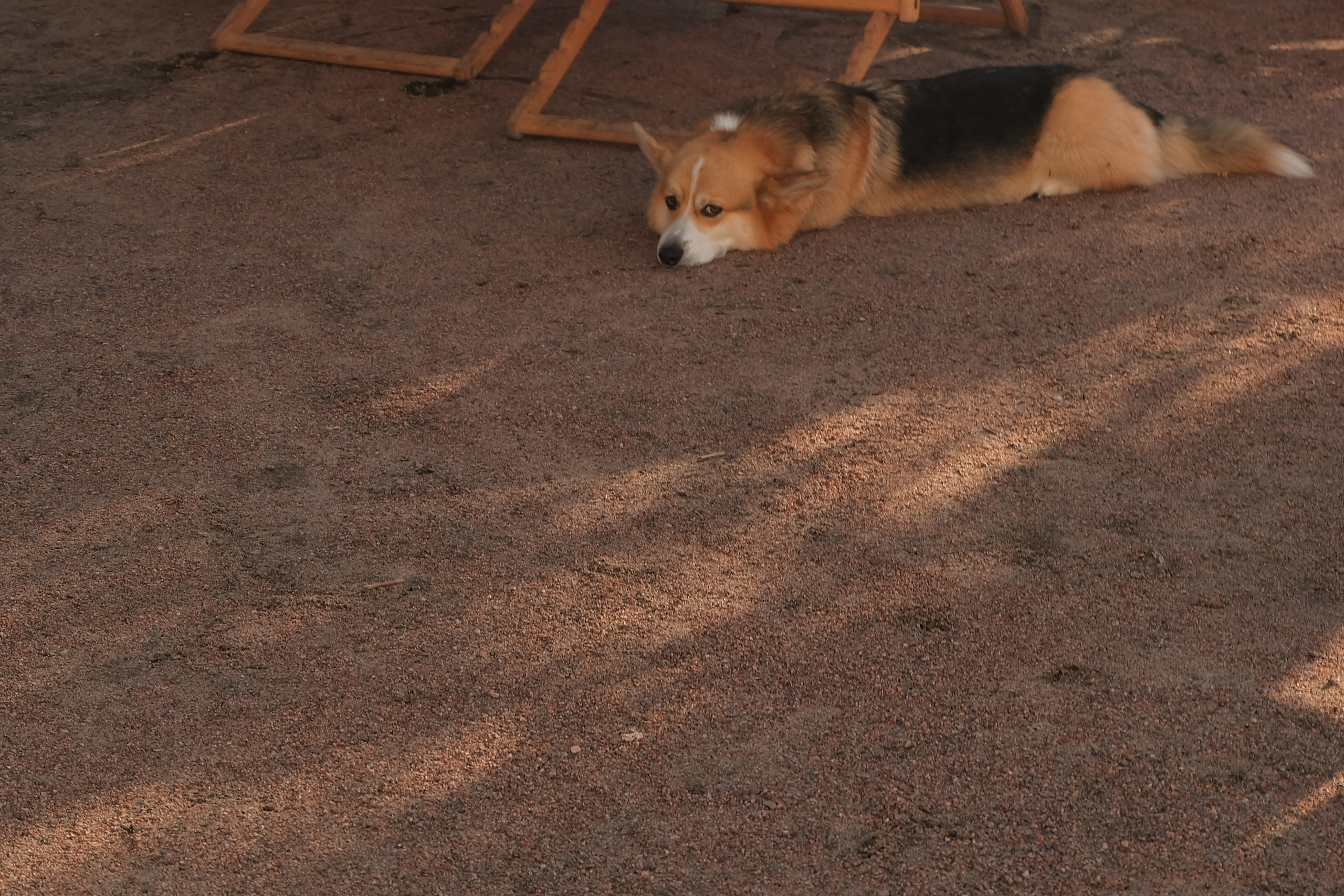 Севкабель. Портретный фотограф DanilNabody
