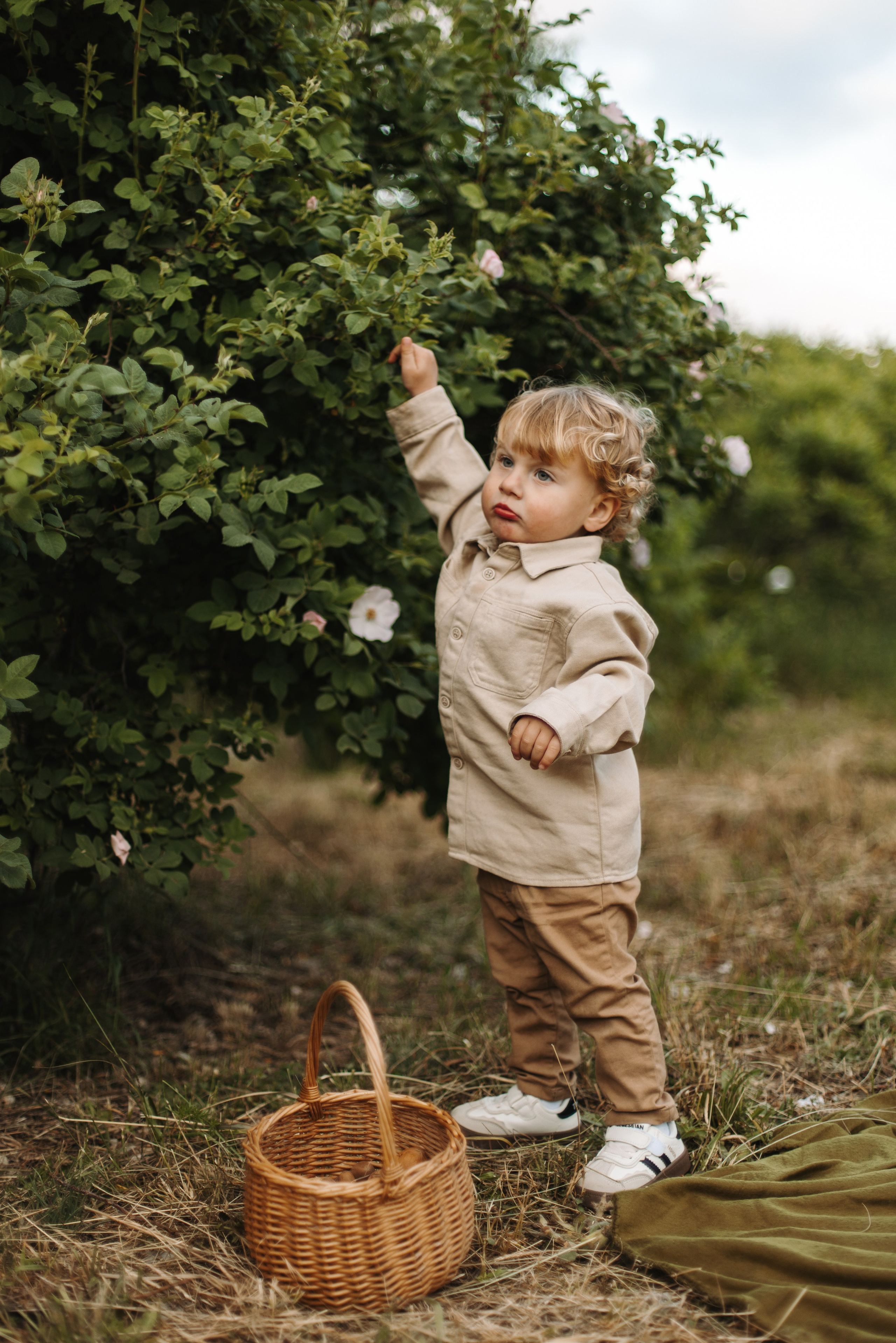 Summer Picnic. Фотограф на Юге России