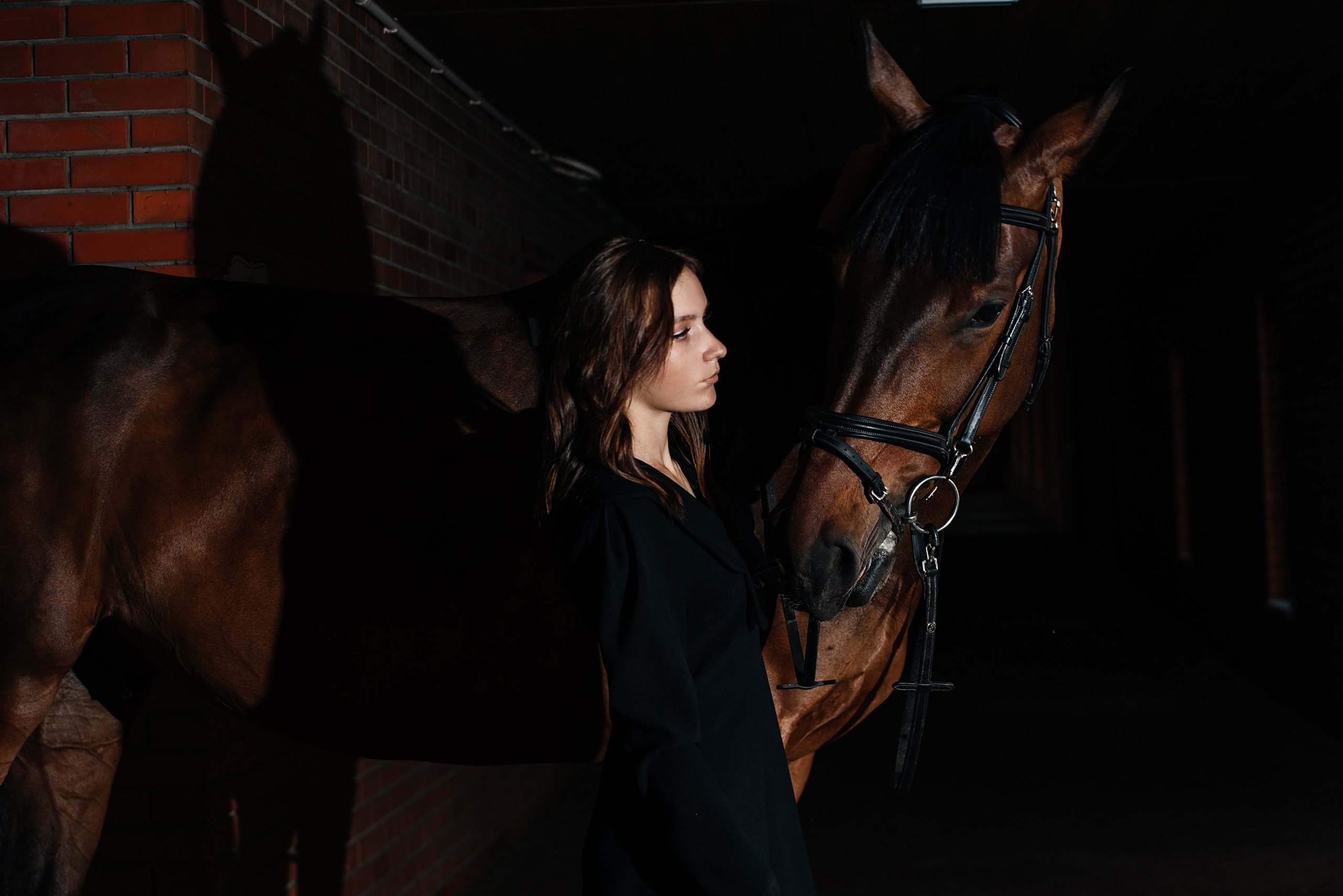 Фотосессии с лошадьми. Фотограф Рязань