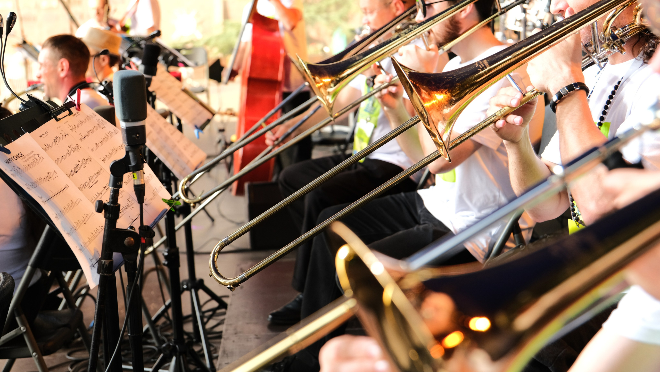 Фестиваль Джаза в Сочи. Фотограф Сочи Евгений Соколов