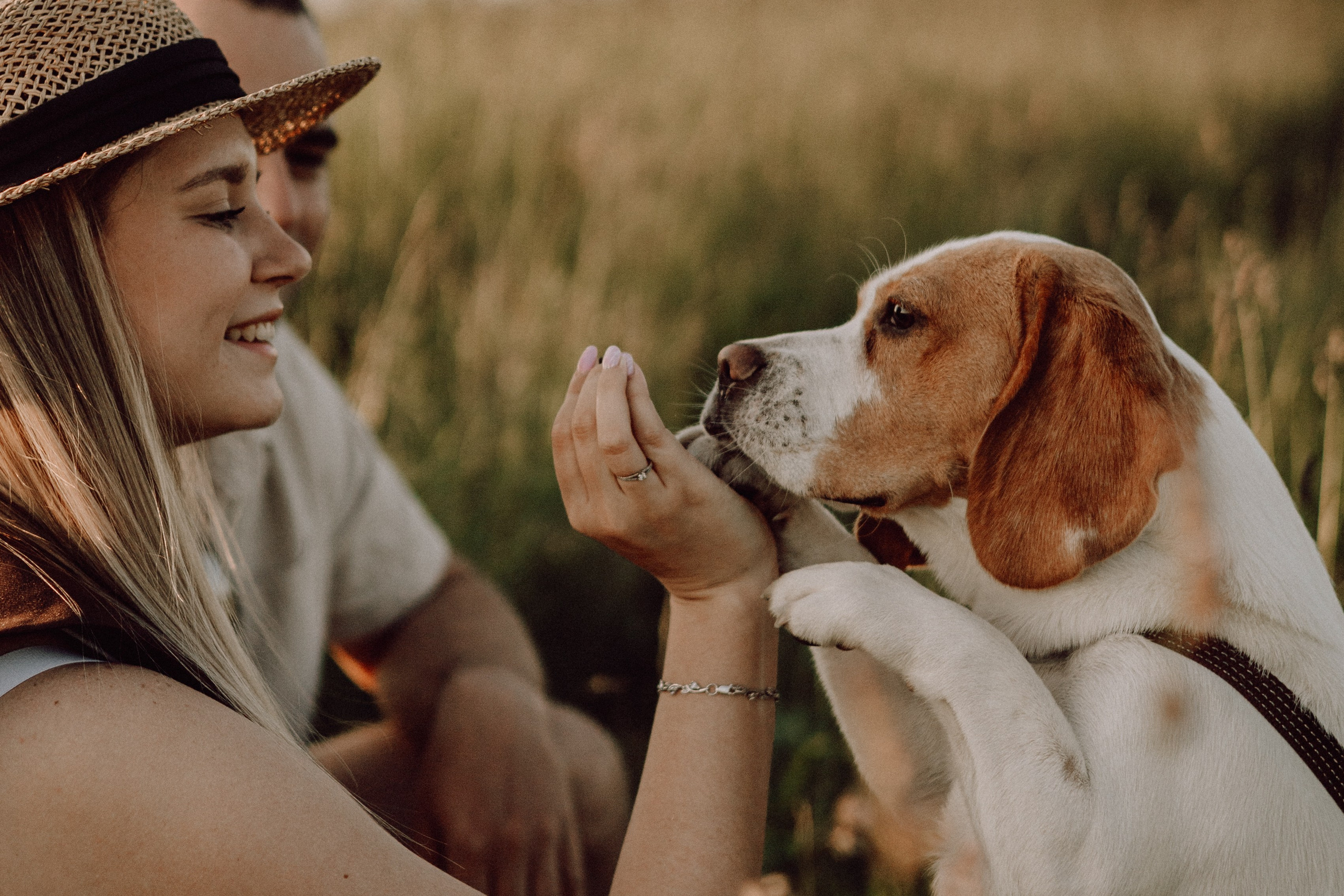 Мартин и его семья. Фотограф — анималист •love-story•|Санкт-Петербург