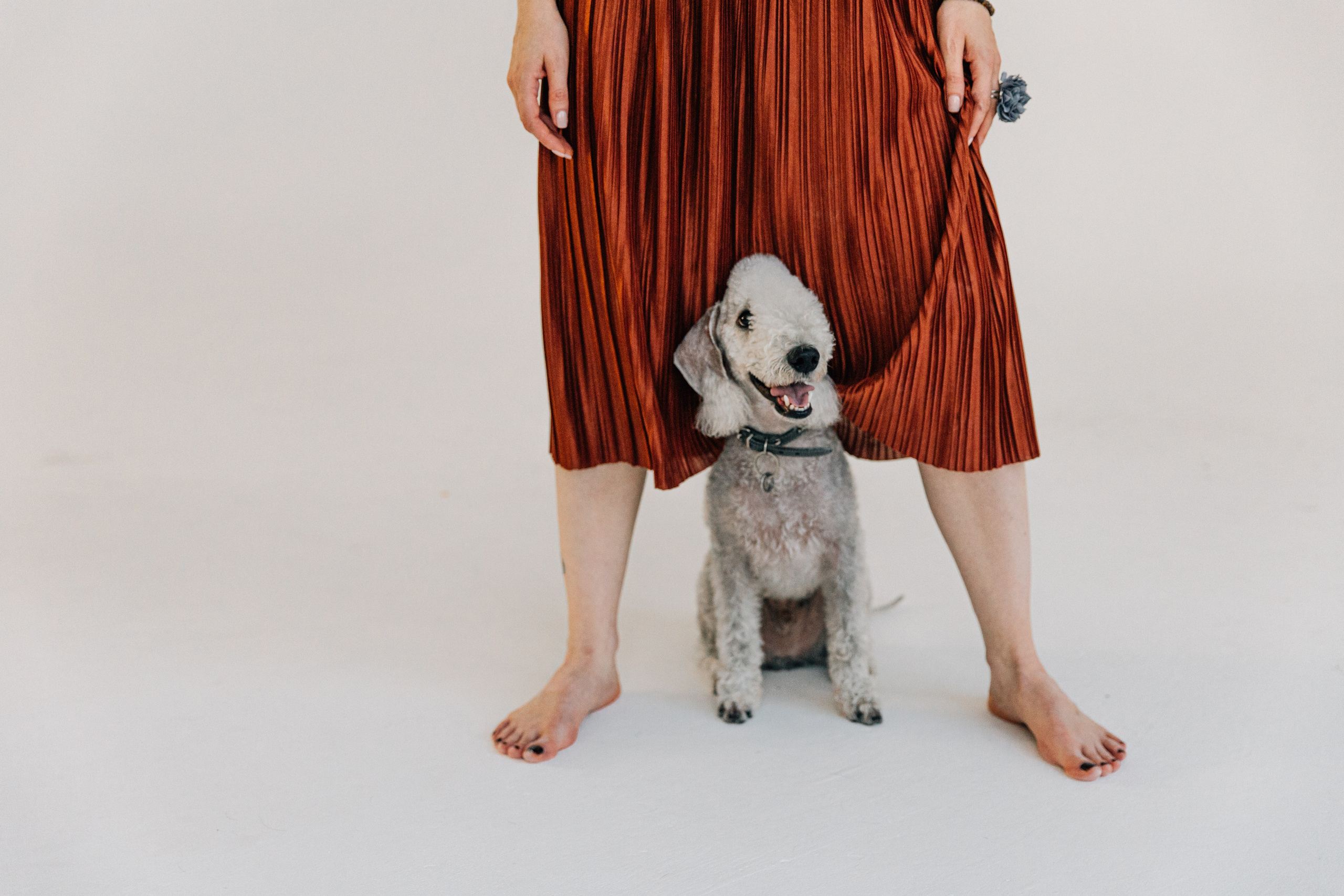 Лаборатория Канистерапии. Фотограф-анималист в Москве Соломонова Варвара