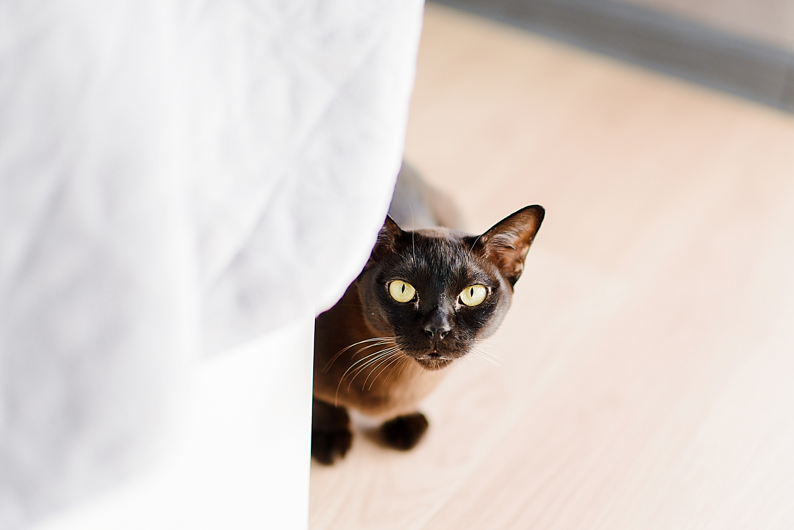 Первый месяц Полины. Свадебный и семейный фотограф в Ростове-на-Дону Дарья Герасименко