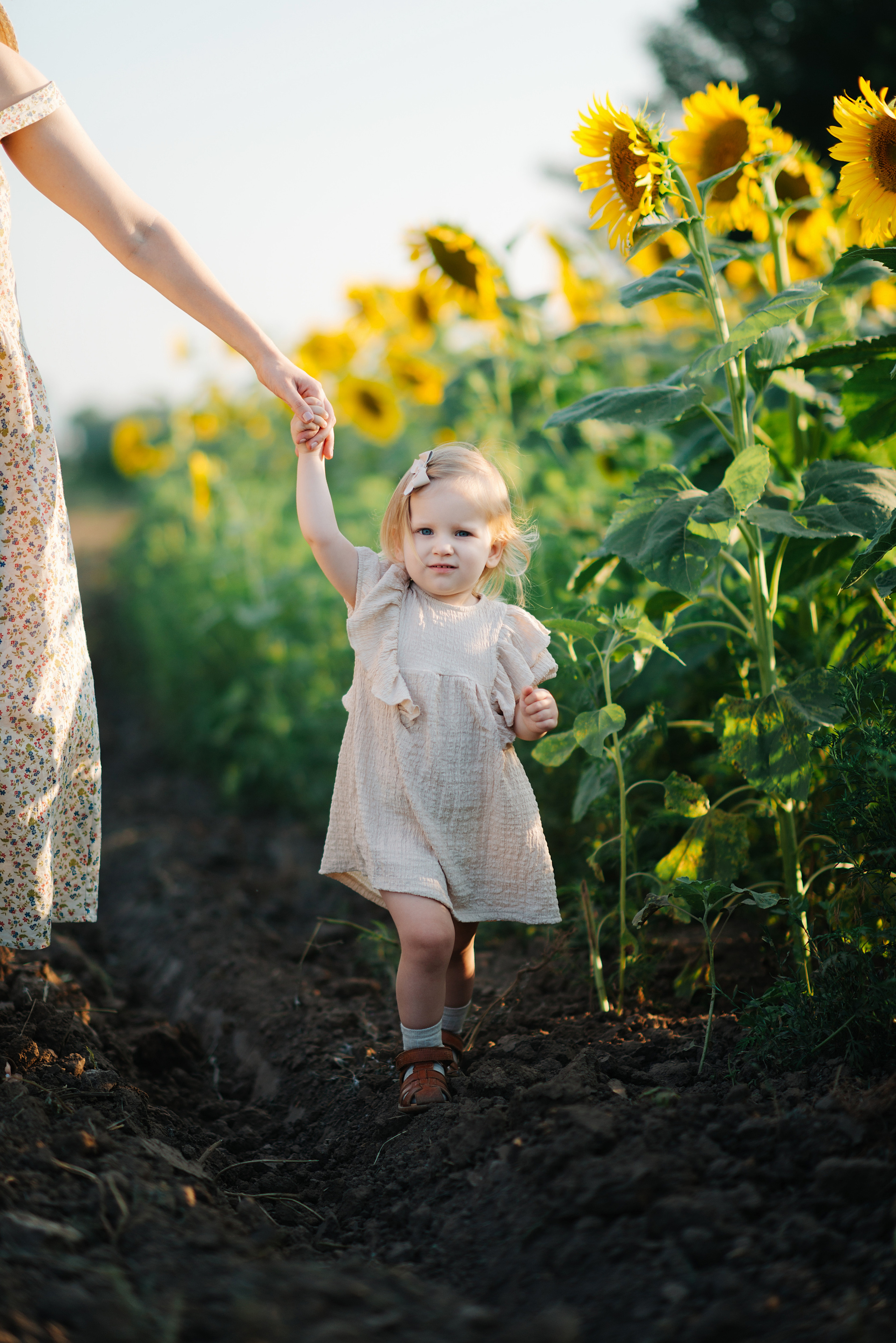 Ира, Сережа и Тая. Свадебный и семейный фотограф в Ростове-на-Дону Дарья Герасименко
