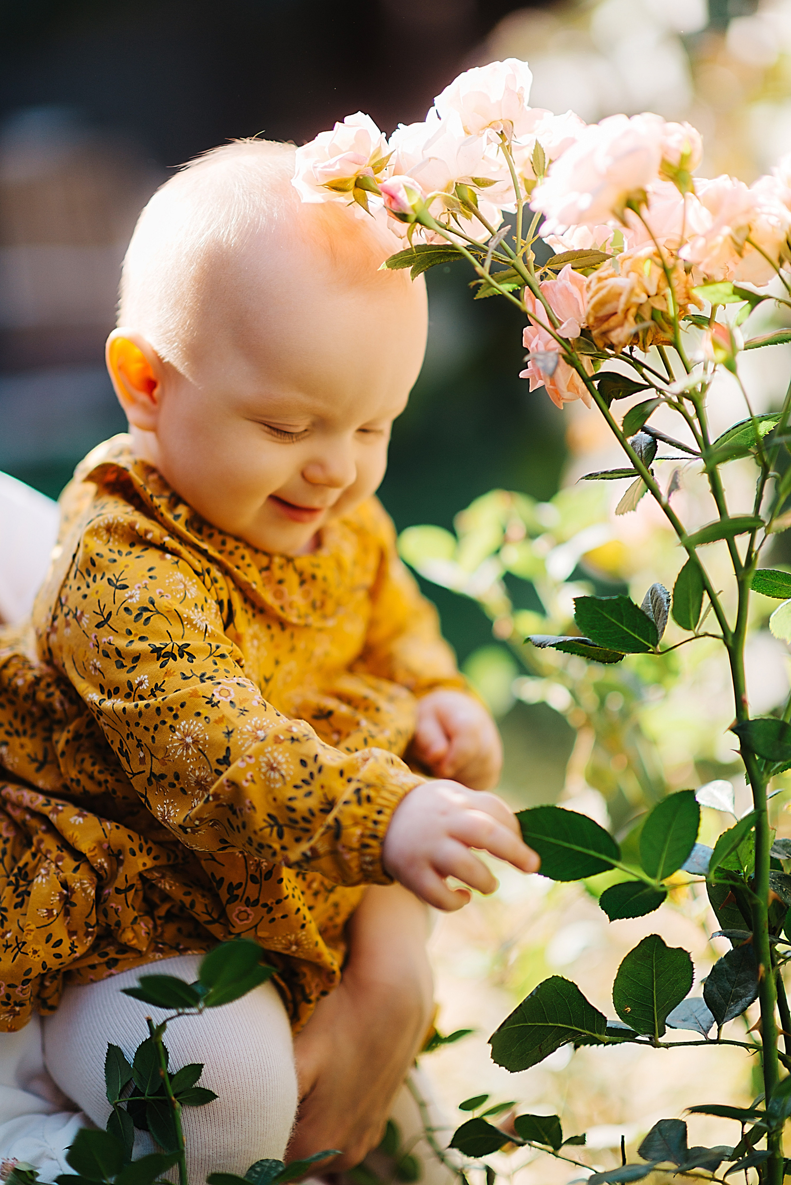 Годик Ангелине. Свадебный и семейный фотограф в Ростове-на-Дону Дарья Герасименко