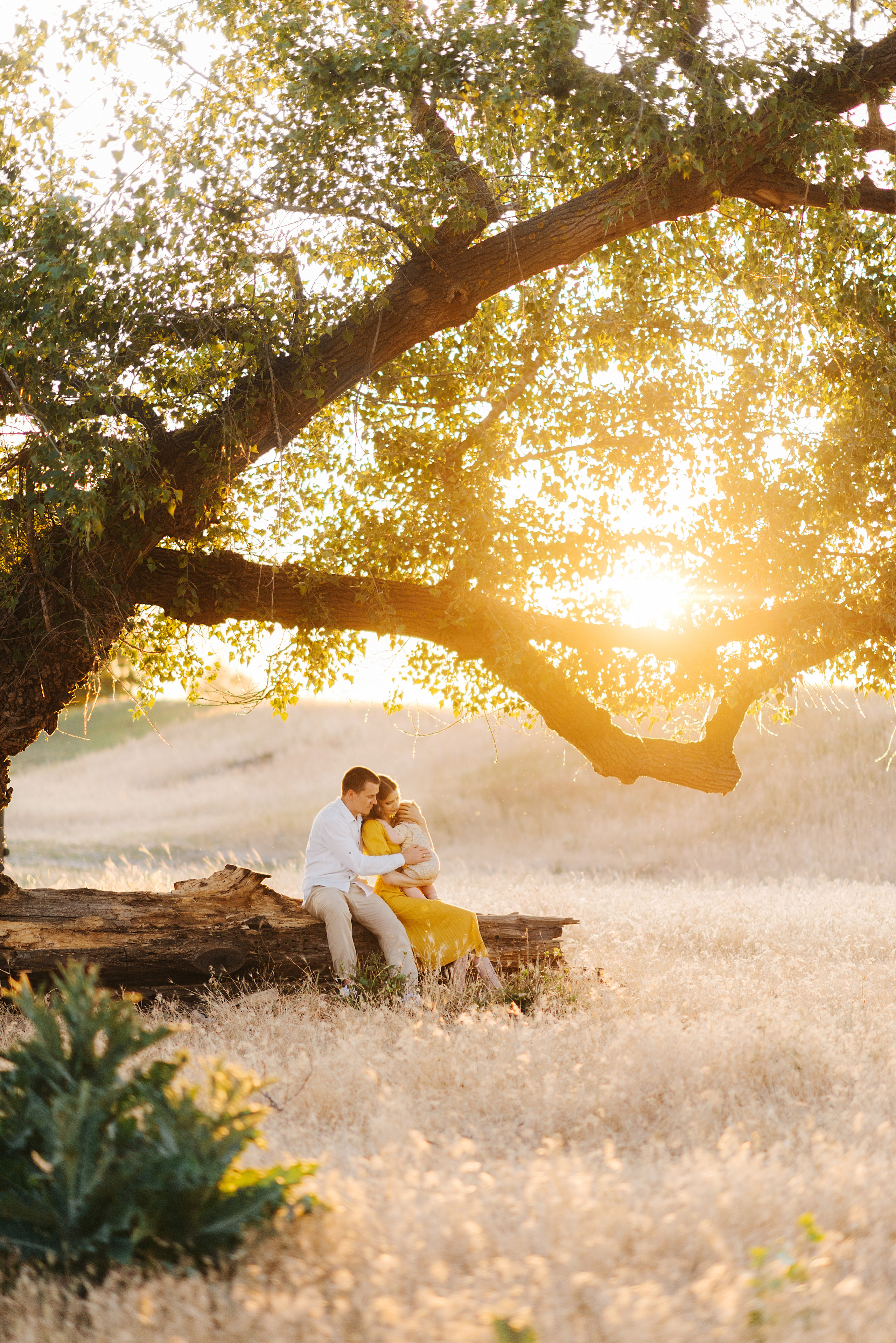 Катя, Олег и Кирюша. Свадебный и семейный фотограф в Ростове-на-Дону Дарья Герасименко