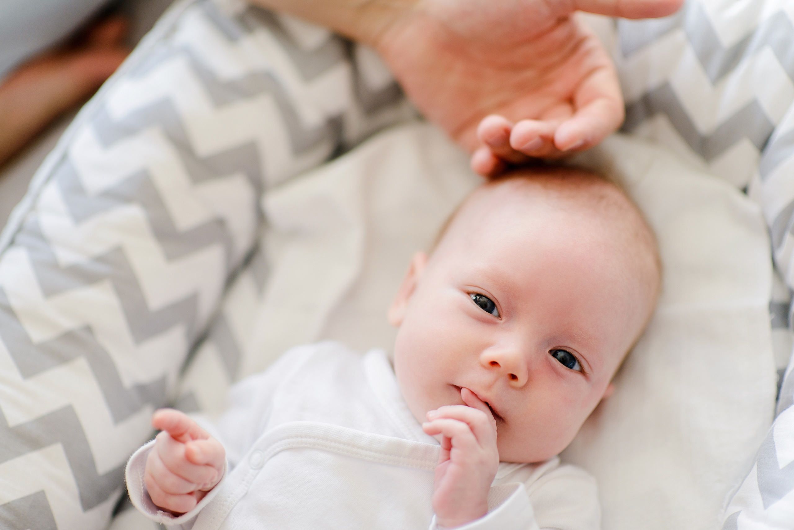 Первый месяц Полины. Свадебный и семейный фотограф в Ростове-на-Дону Дарья Герасименко