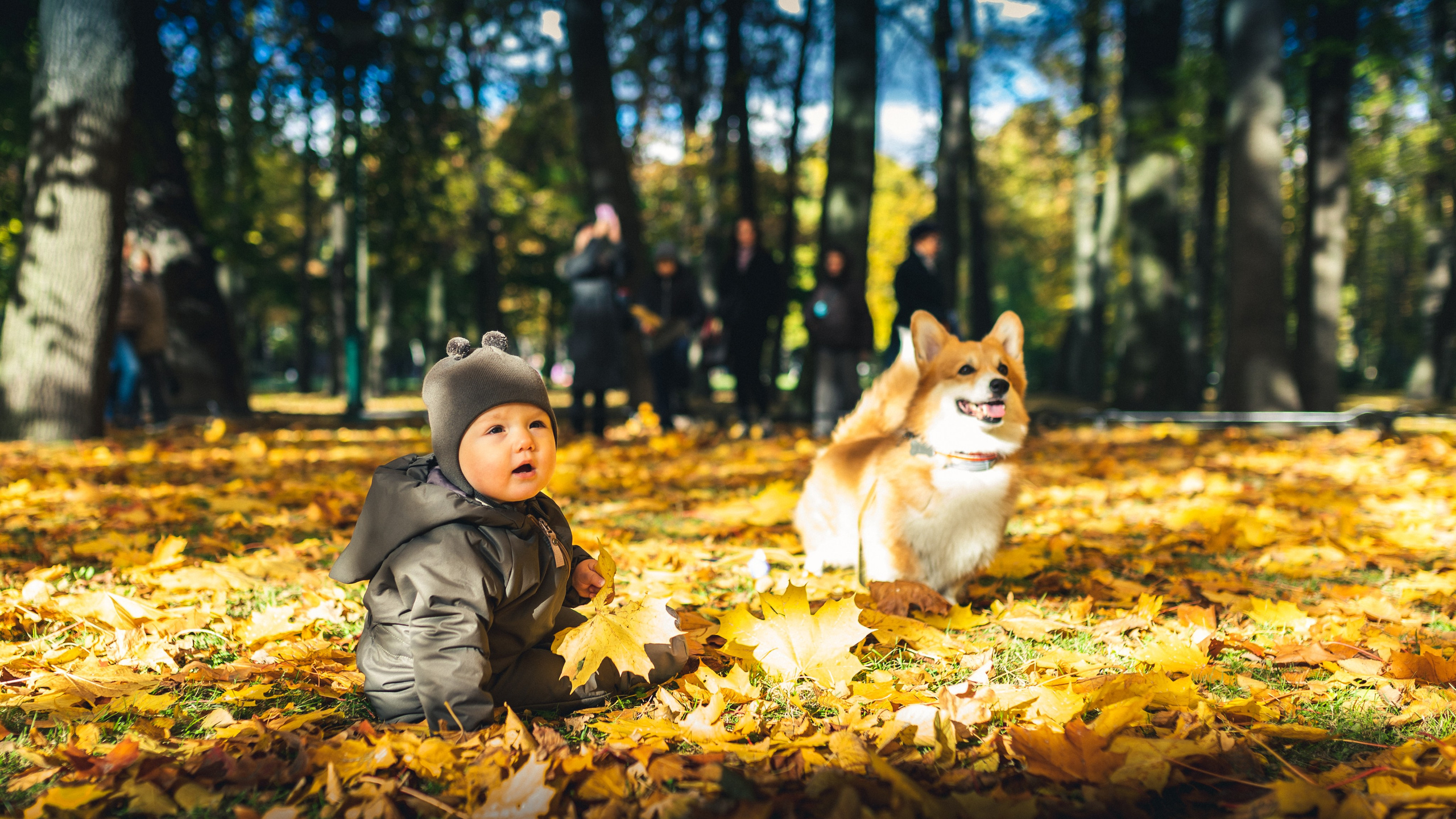 Андрей, Саша и все-все-все