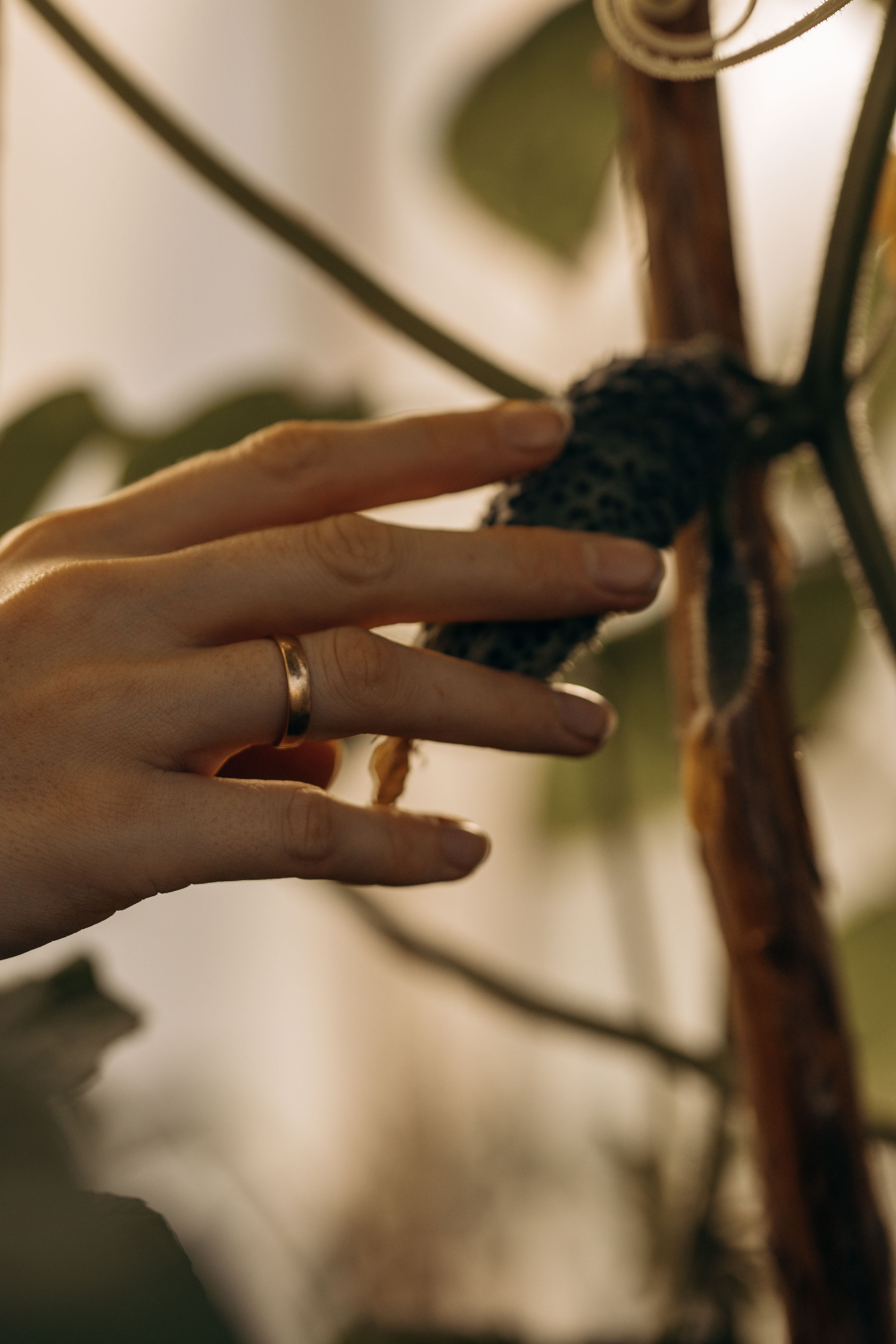 Фотопроект «Теплица». Детский и Семейный фотограф Елена Карпушина