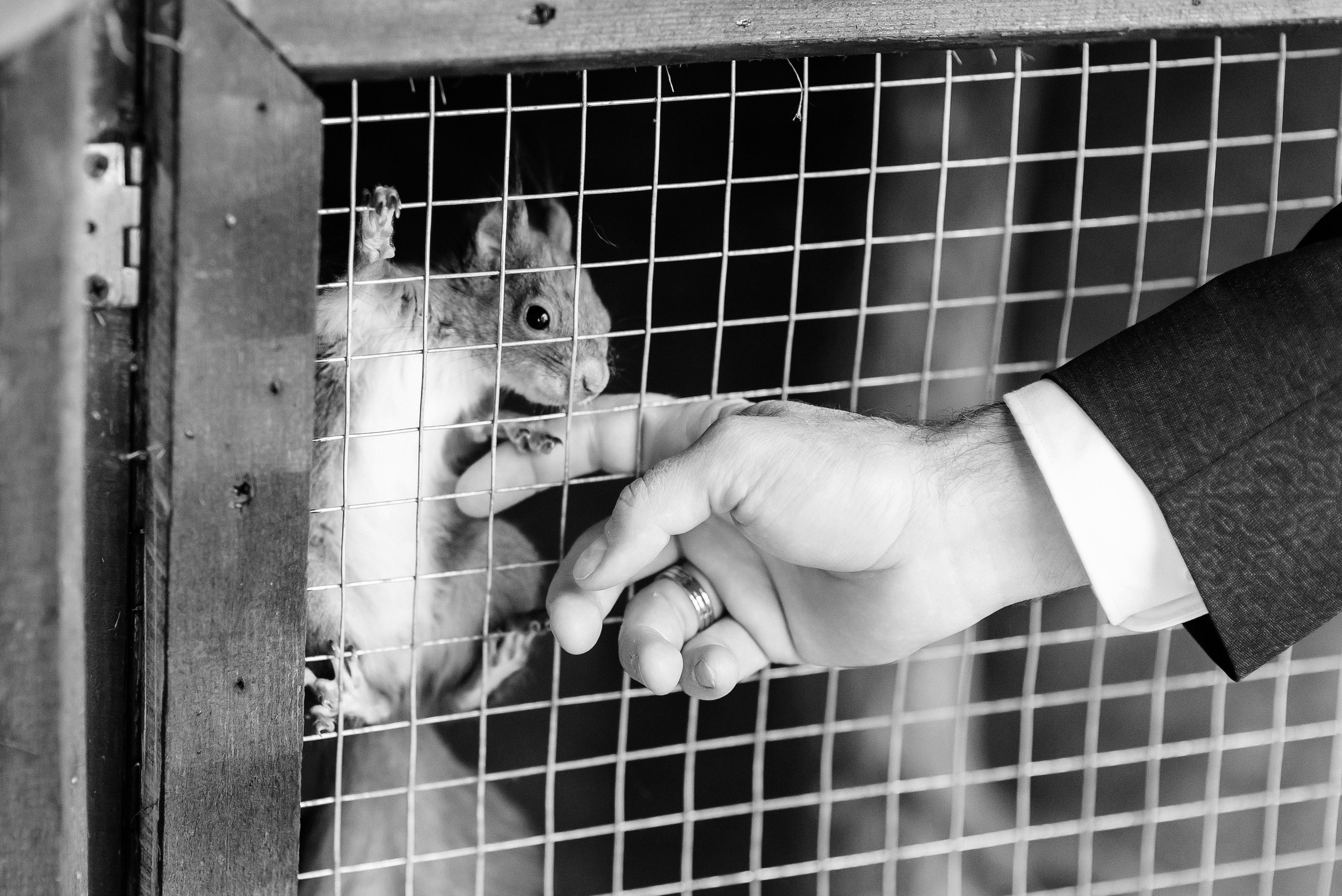 Михаил и Эмилия. Свадебный фотограф Курск Артем Духтанов