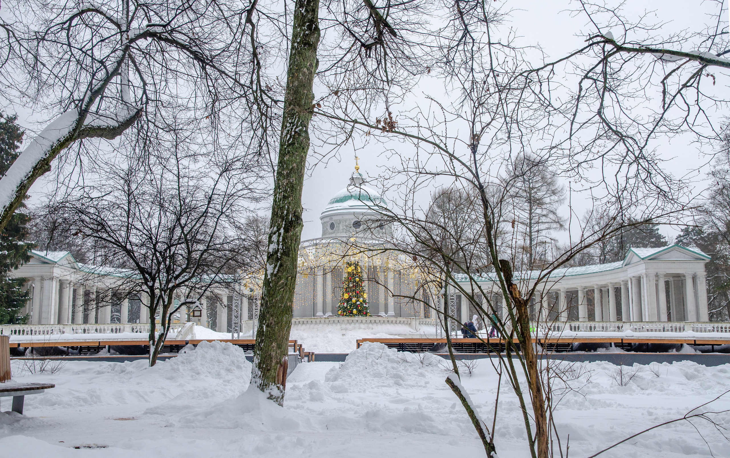 Новогодние фотосессии в Москве. Семейный и детский фотограф в детских садах и школах