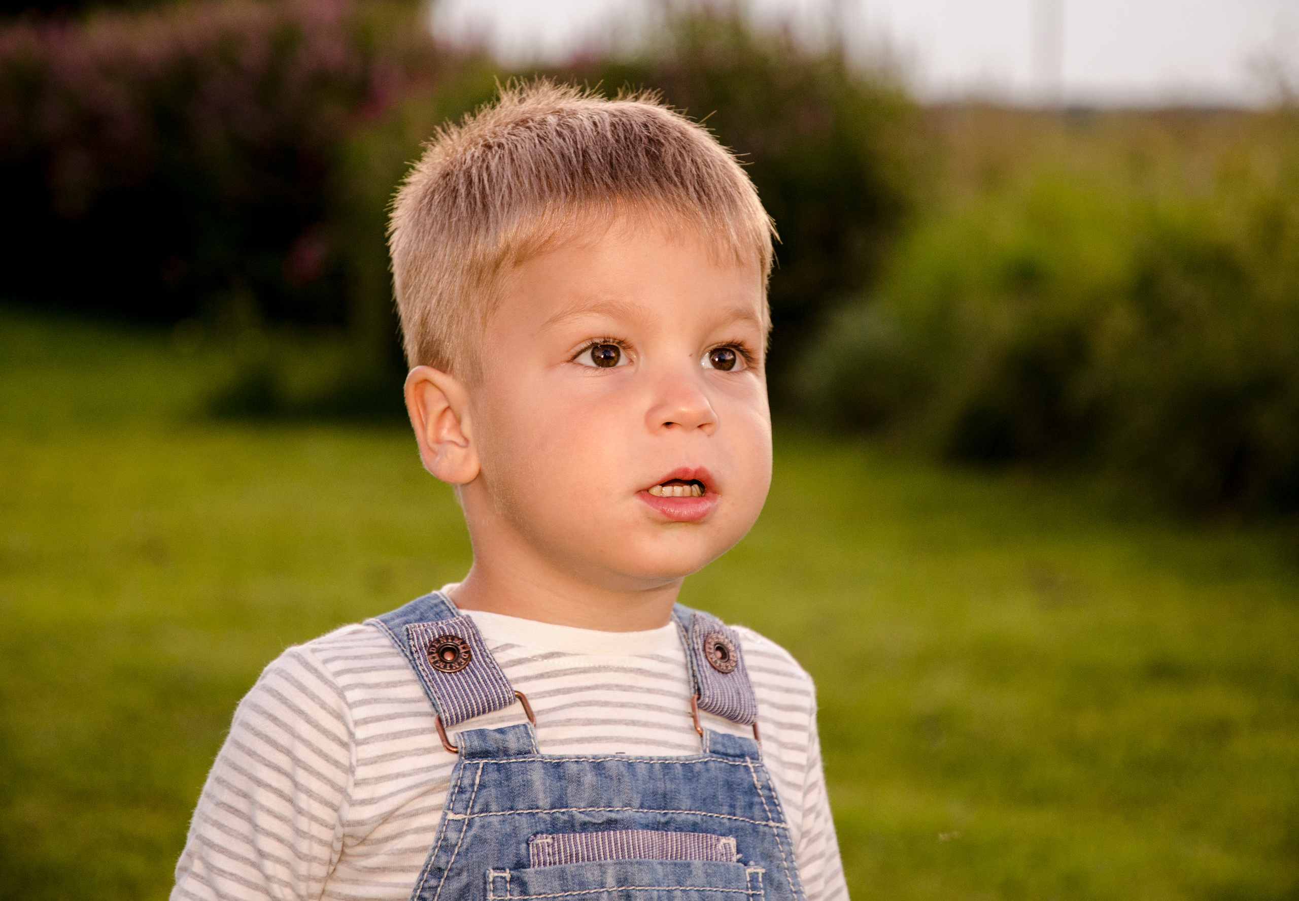 Лето. Семейный и детский фотограф в детских садах и школах