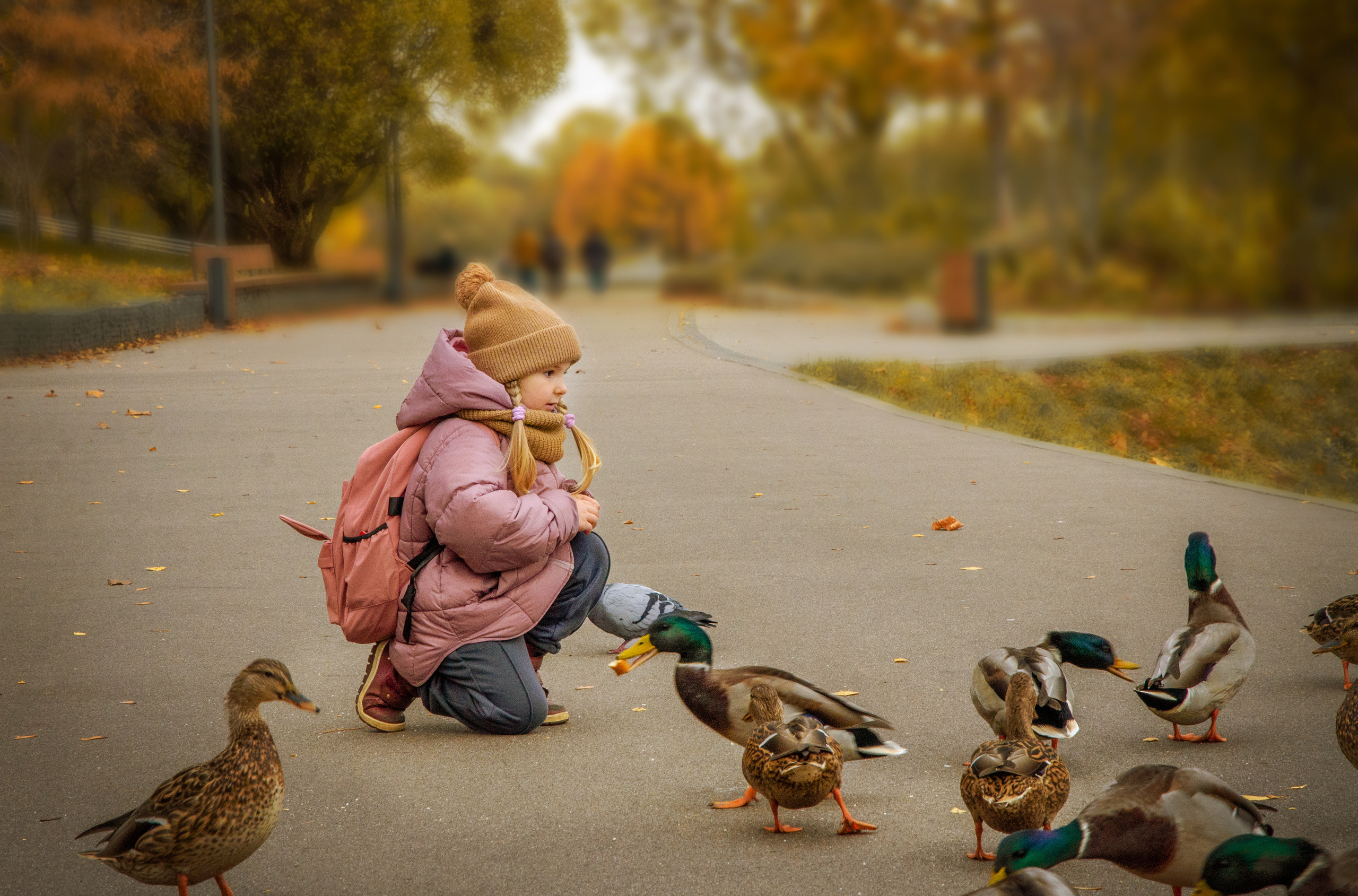 Осенняя фотопрогулка, девочка кормит уток, фотопроекты от фотографа Москва.