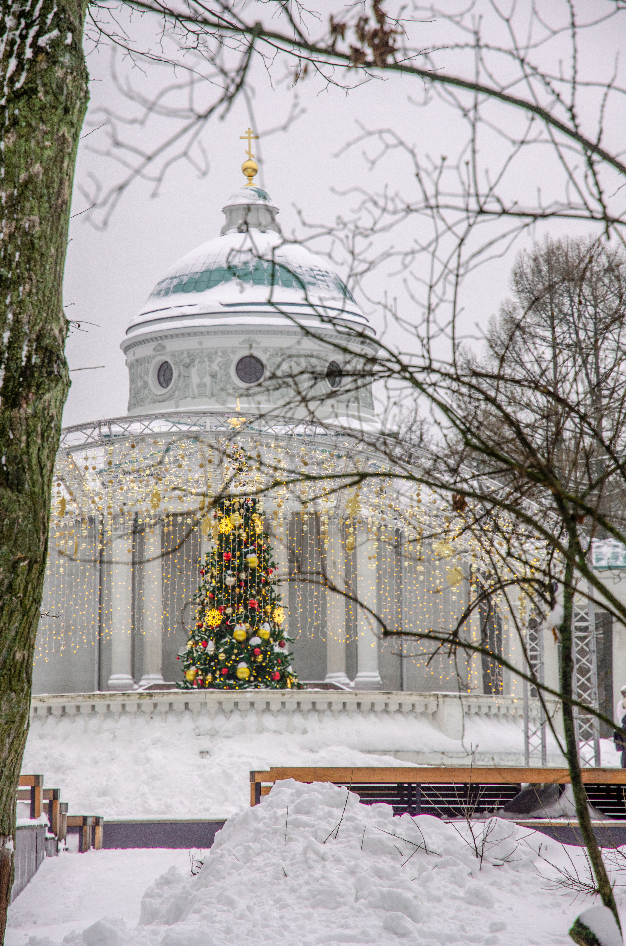 Новогодние фотосессии в Москве. Семейный и детский фотограф в детских садах и школах