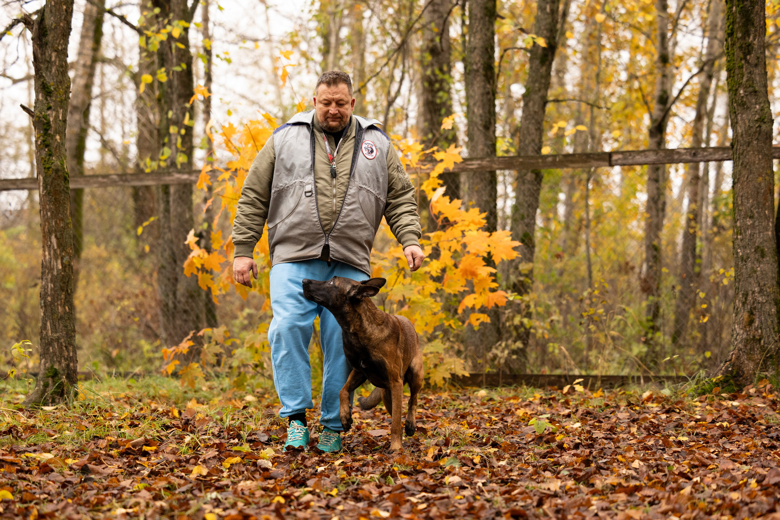 Соревнования по Мондьорингу г. Вологда. Фотограф-анималист Анна Маринич