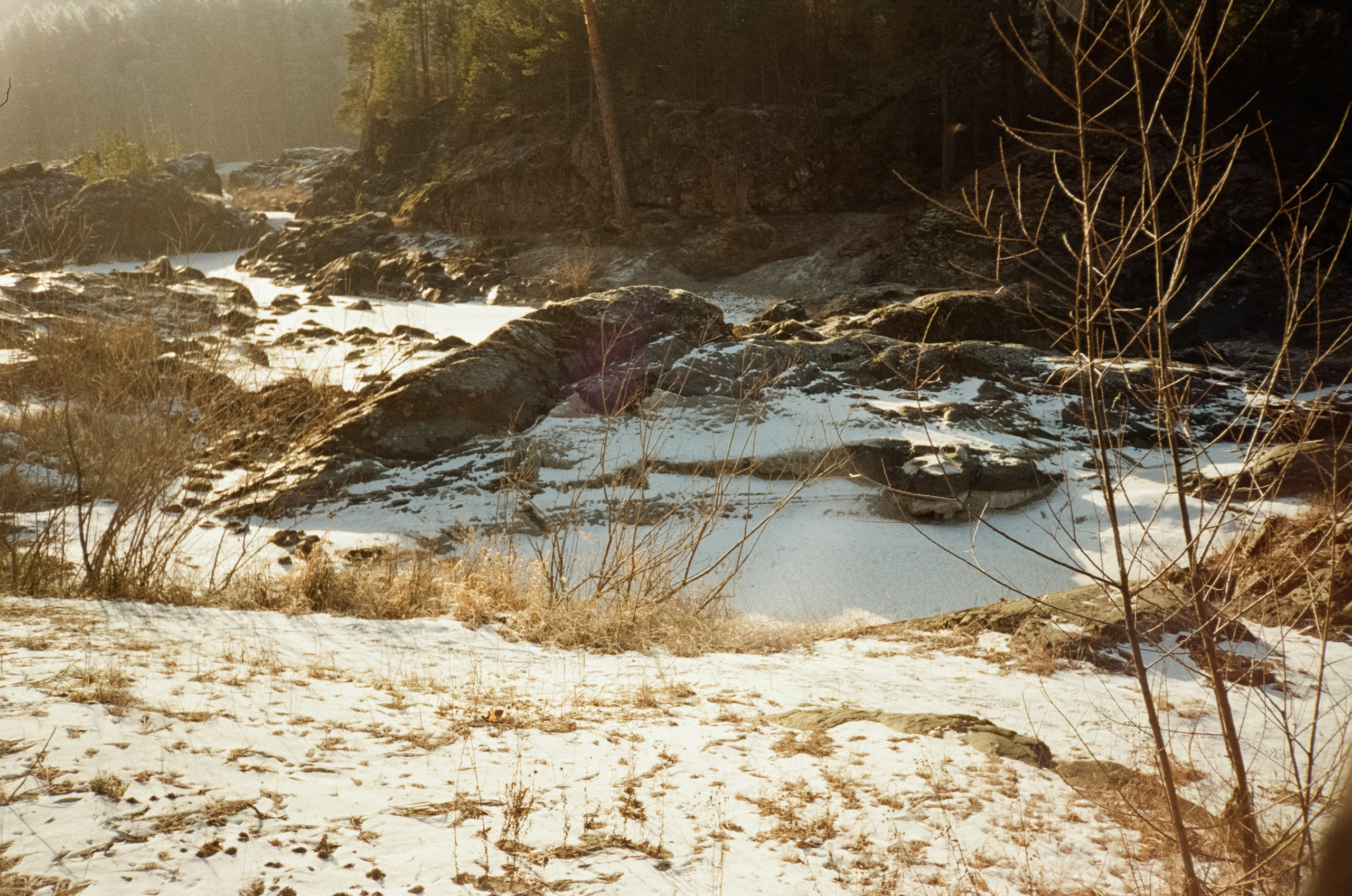 Дорога до Coffee Bus по Чемальскому тракту и Кедровый остров. Фотограф-документалист Мария Осокина