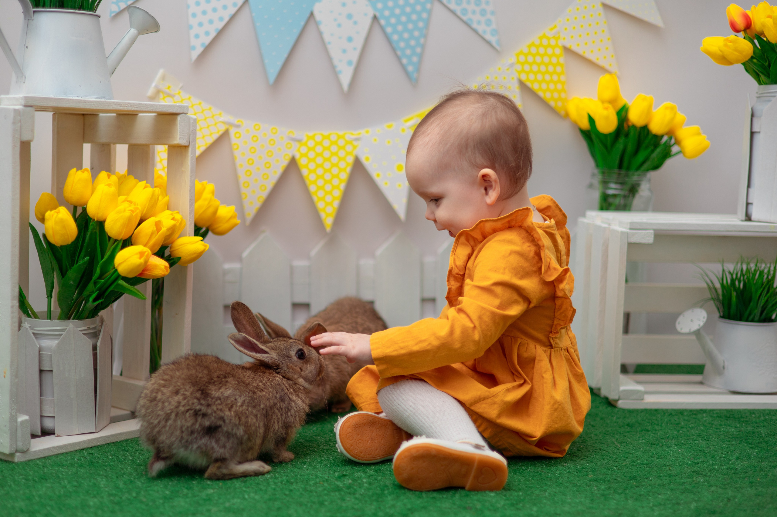 Вероника кролики. Семейный и детский фотограф в Михайловке Татьяна Лестьева
