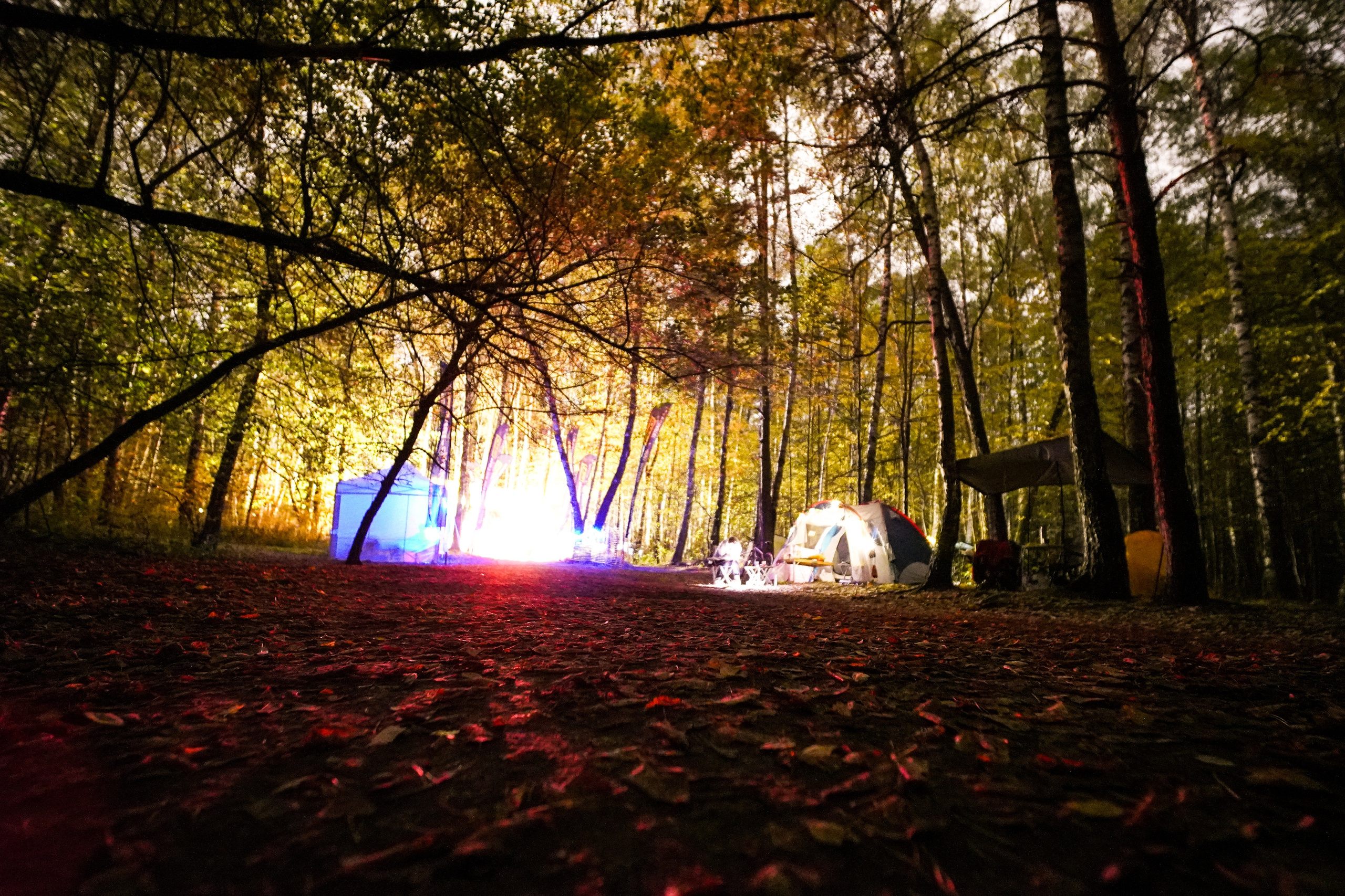 Backyard Ultra Moscow 2024. Роман Капилюшов. Бег. Фото. Видео. г. Люберцы