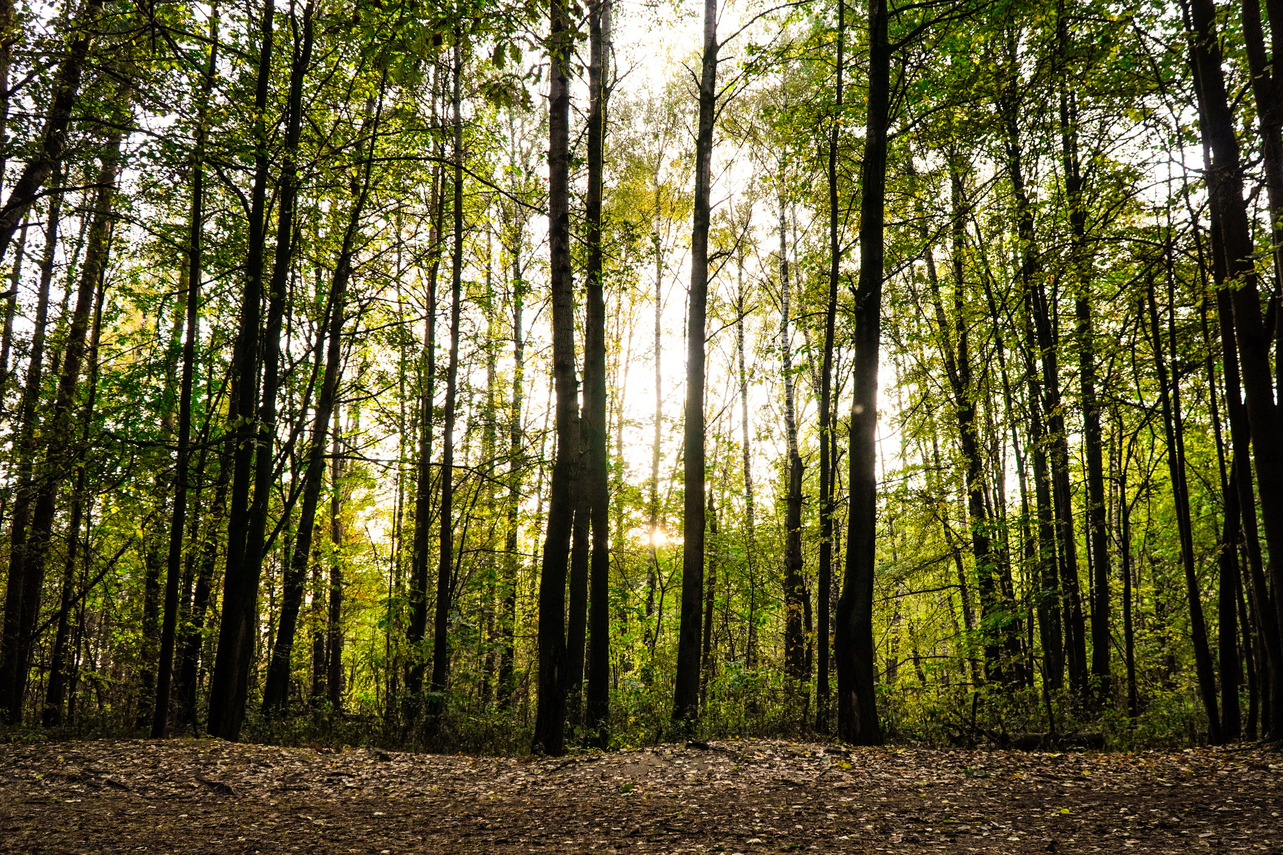 Backyard Ultra Moscow 2024. Роман Капилюшов. Бег. Фото. Видео. г. Люберцы