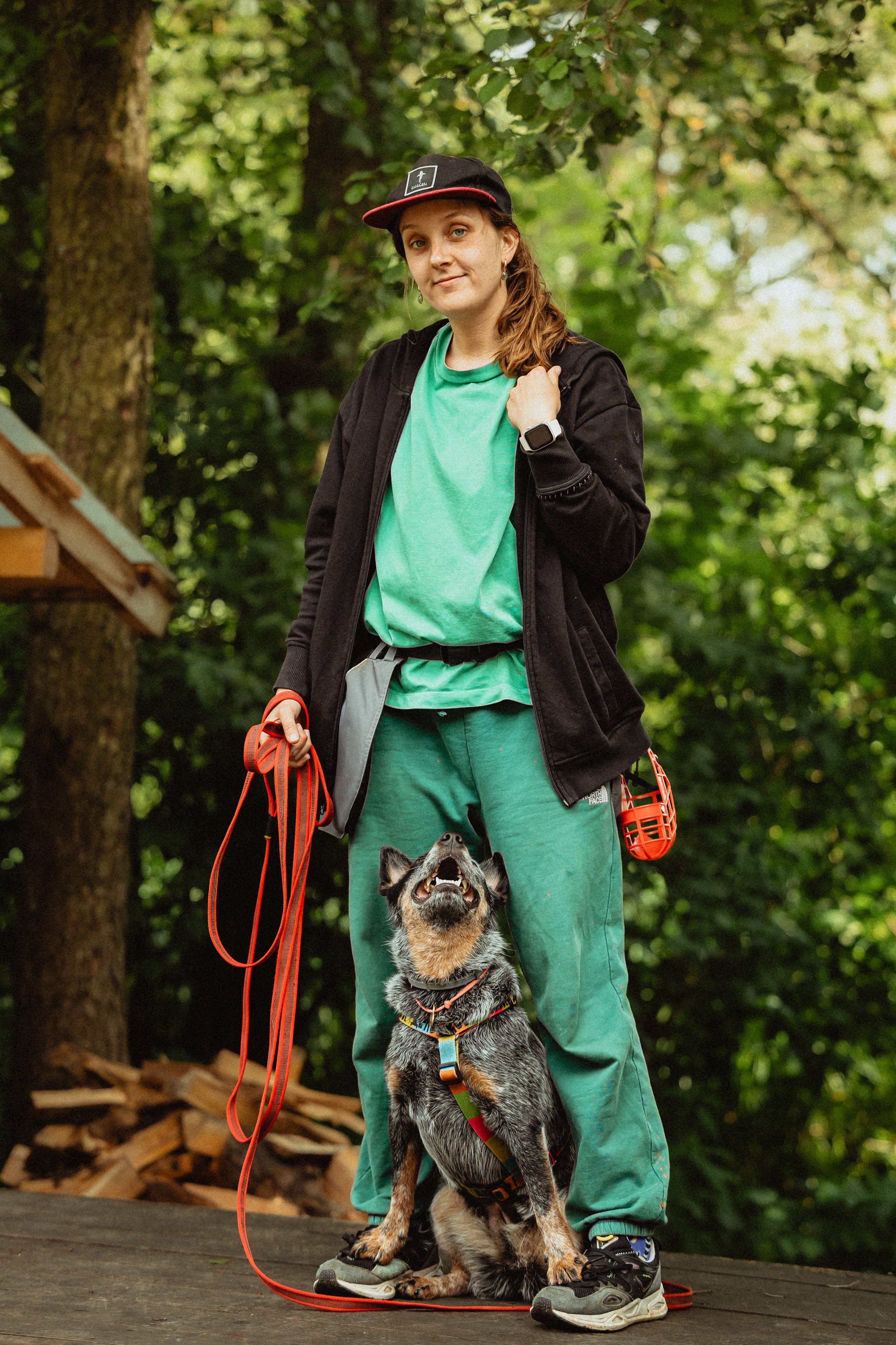 Выездной дог-тренинг от школы «Шерсть имею»