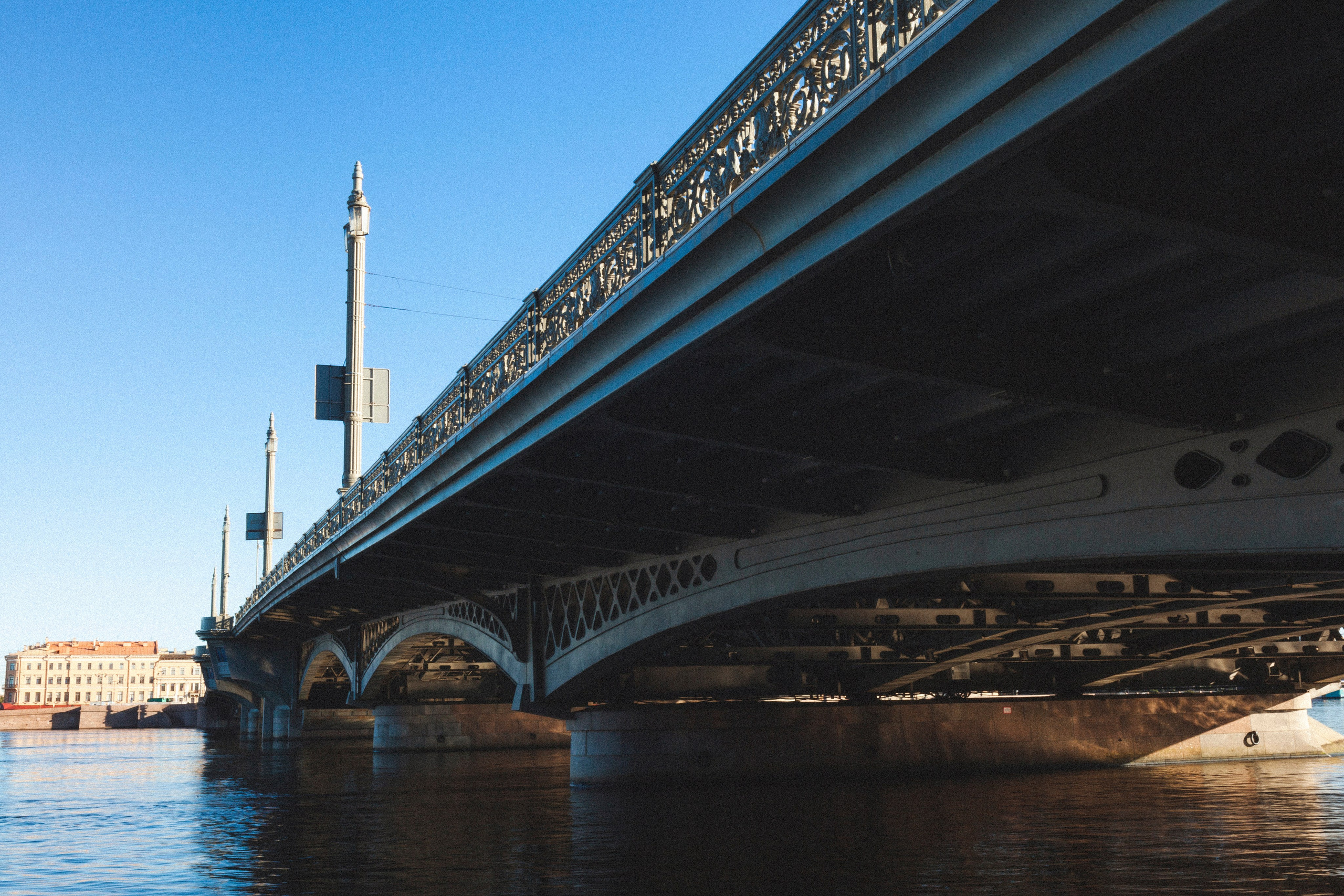 Фотовыставка в Санкт-Петербурге "А где ты гулешь с собачкой, если живешь в центре?"