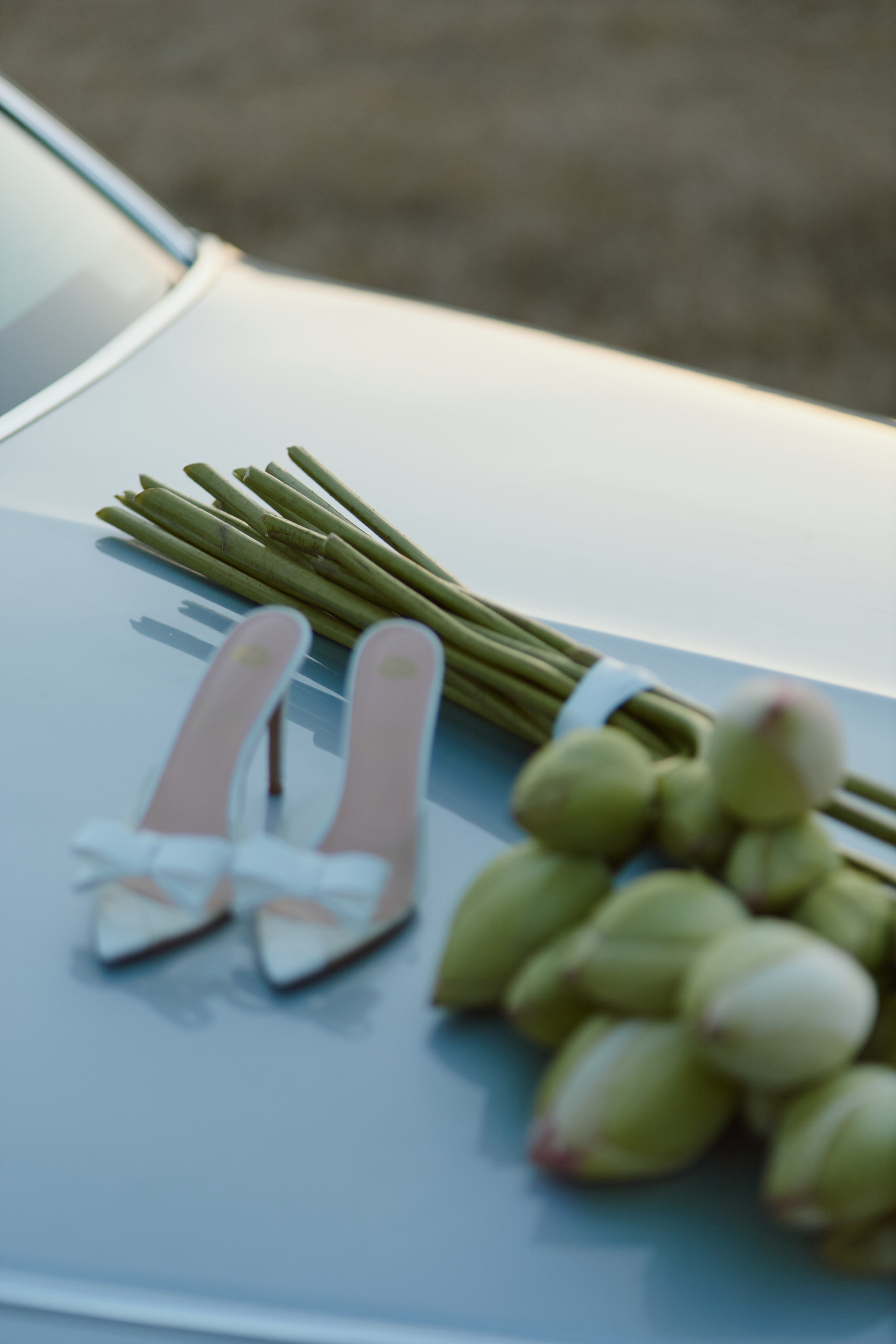 Один день. Фотограф Краснодар