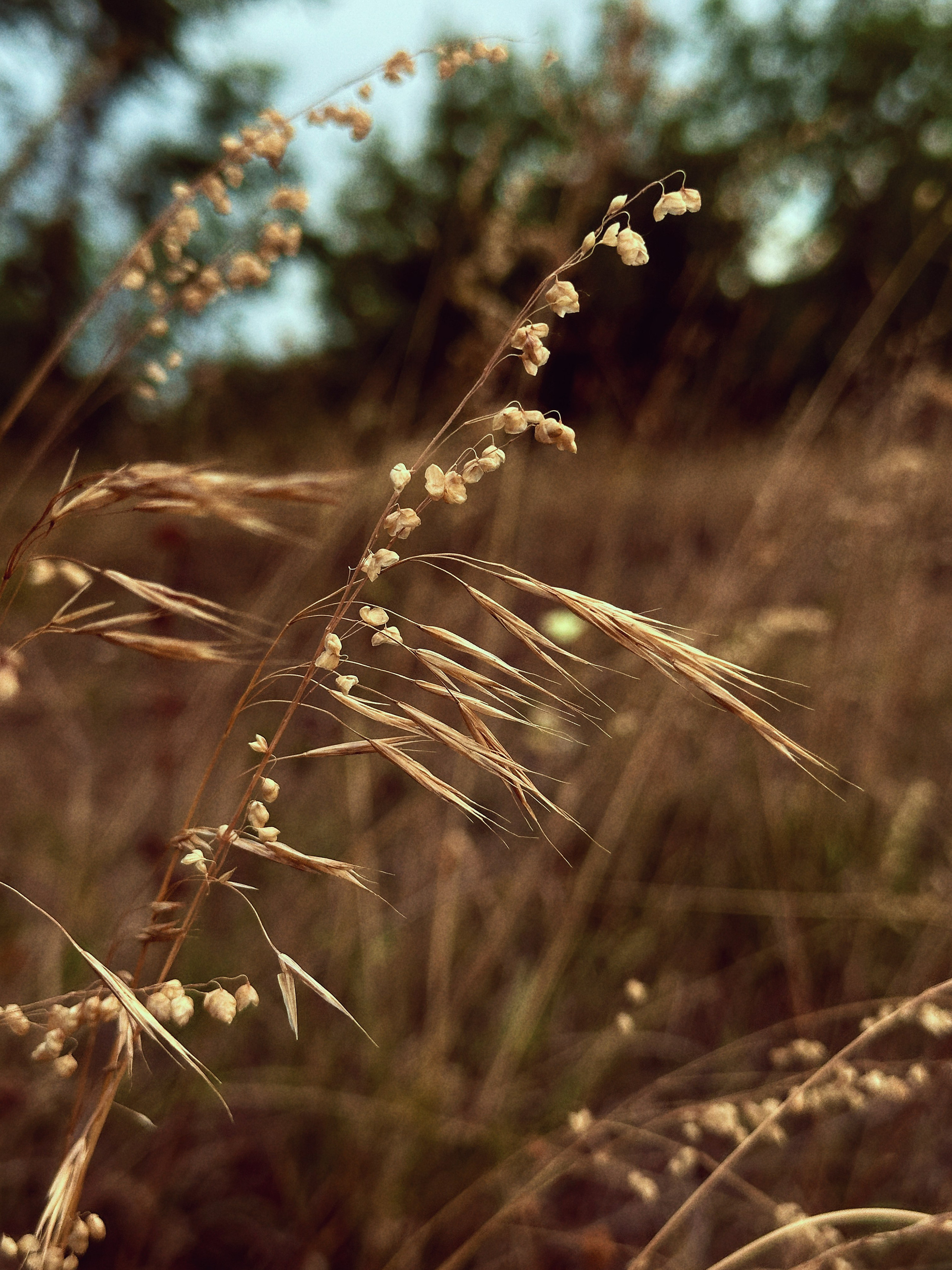 Макро любовь. Смотри, красота!