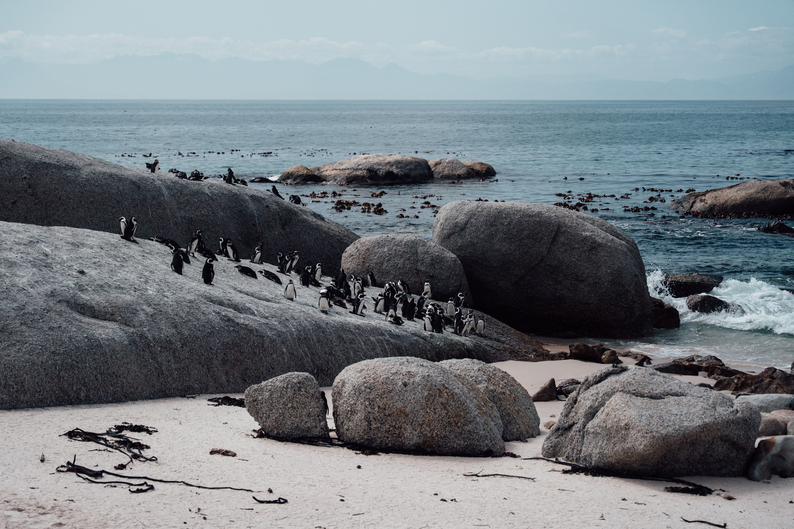 Africa/UAR. @oljiofilm: Олег Иванов — фотограф